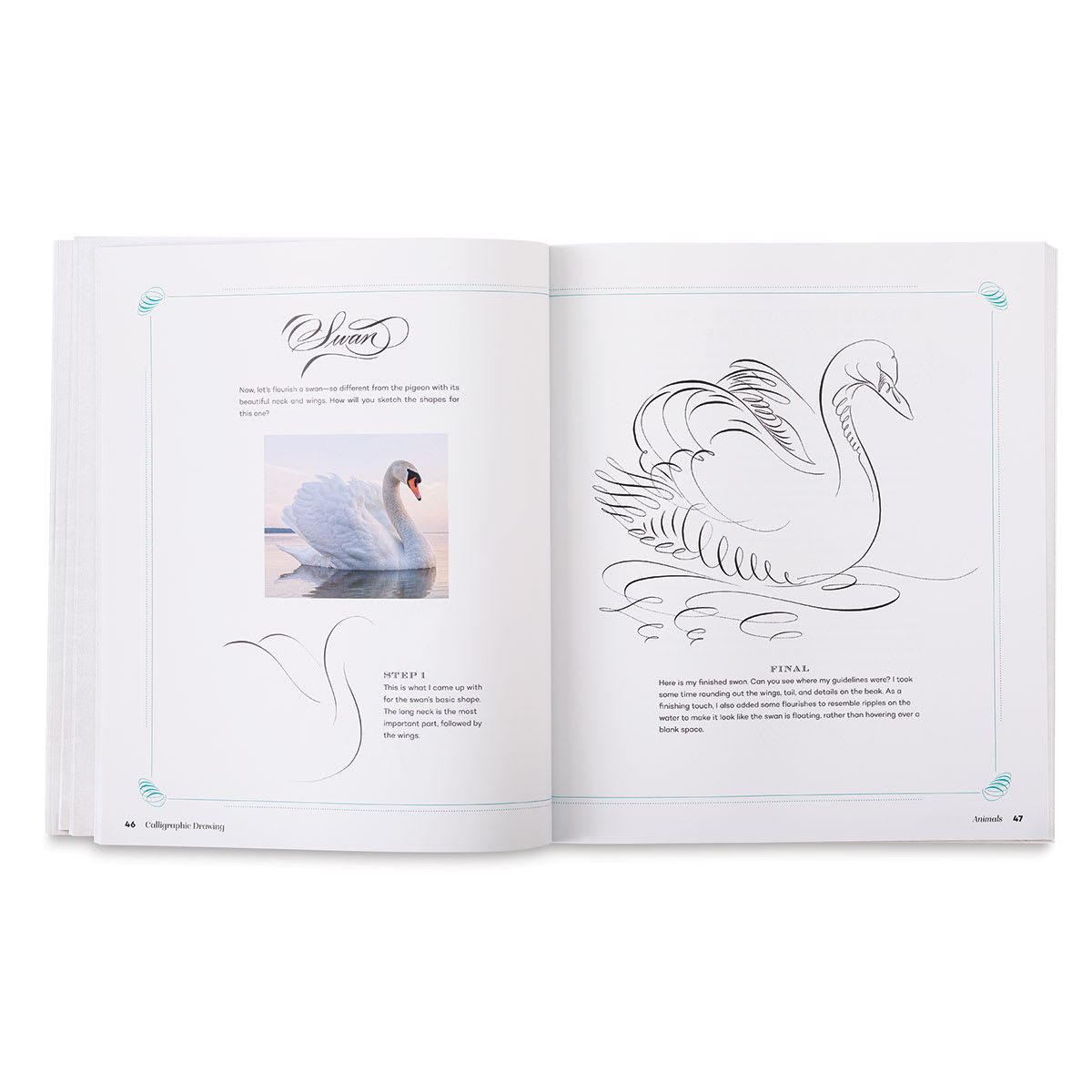 Calligraphic Drawing - Inside spread showing steps for drawing a Swan
