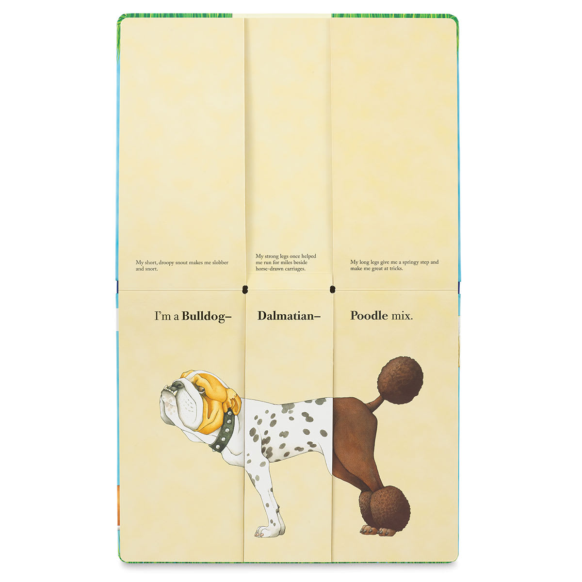 Mix-a-Mutt