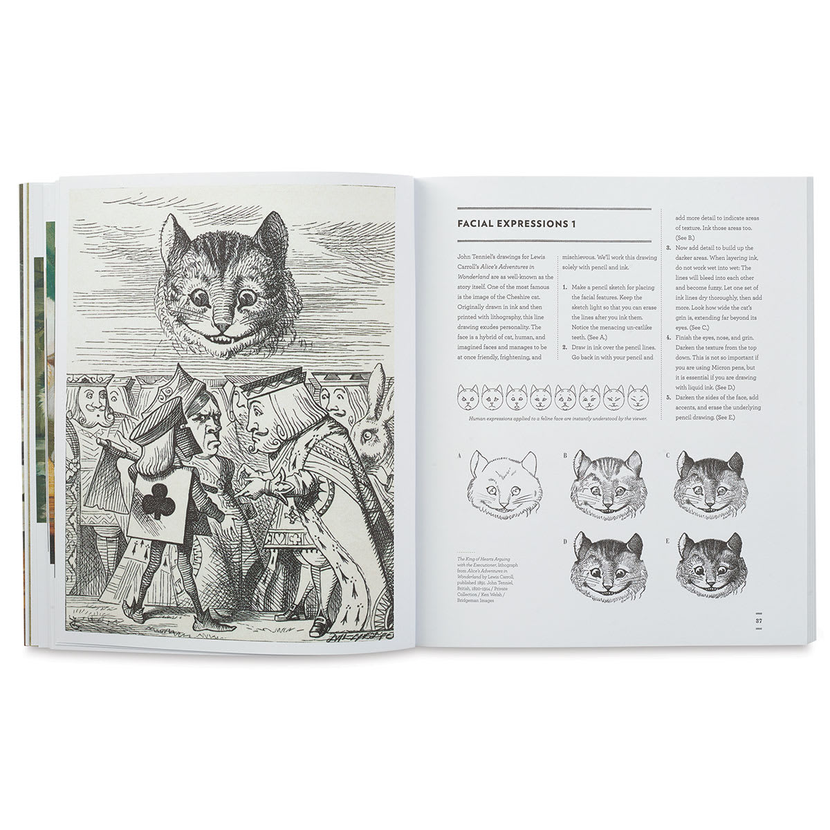 Classic Sketchbook: Cats