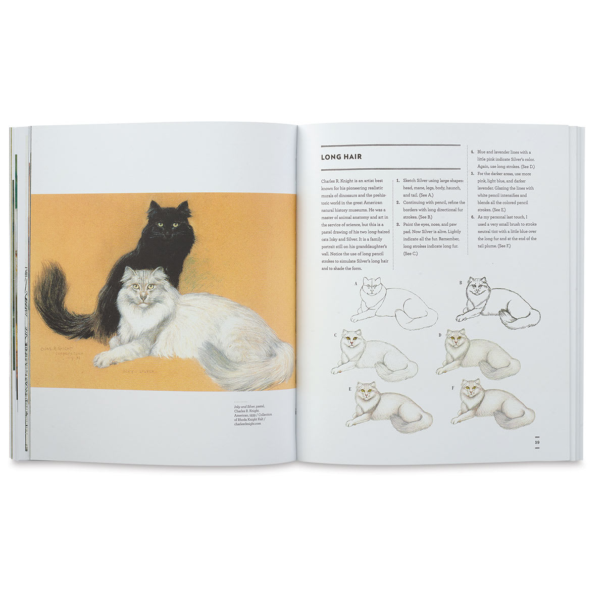 Classic Sketchbook: Cats