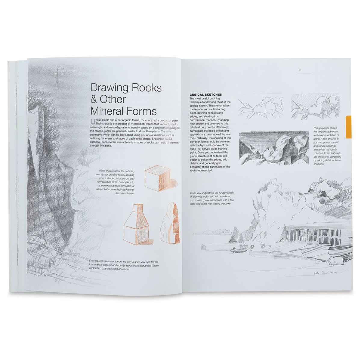 Drawing Landscapes for the Beginning Artist