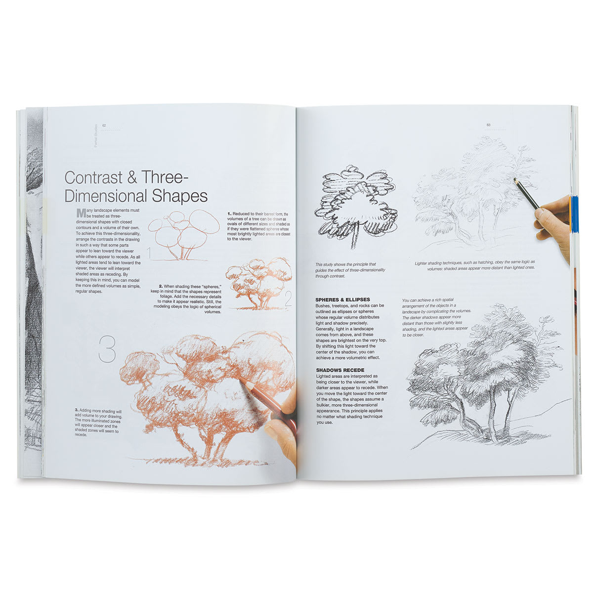 Drawing Landscapes for the Beginning Artist