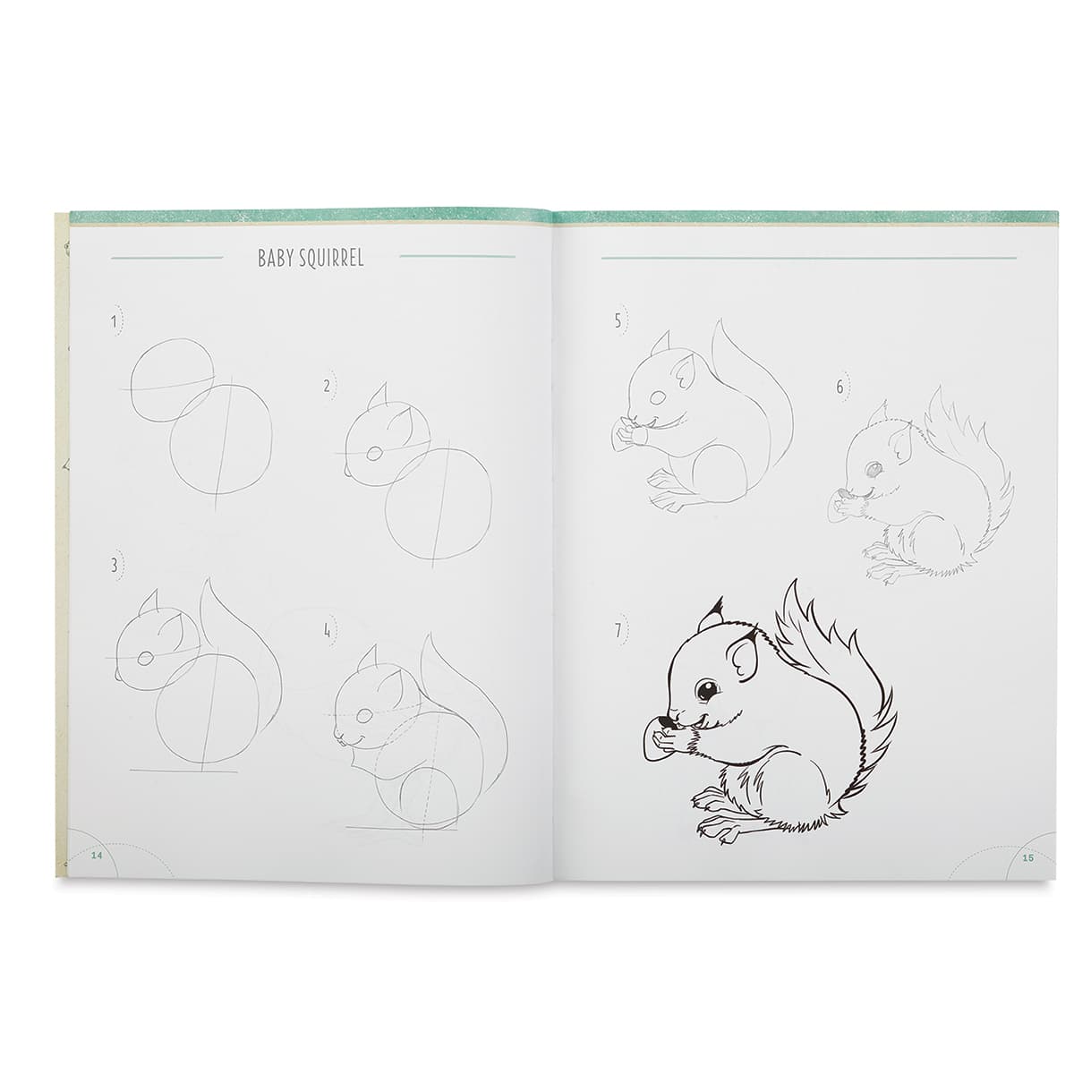 Big Book of Drawing Animals - Inside spread showing steps to draw a squirrel