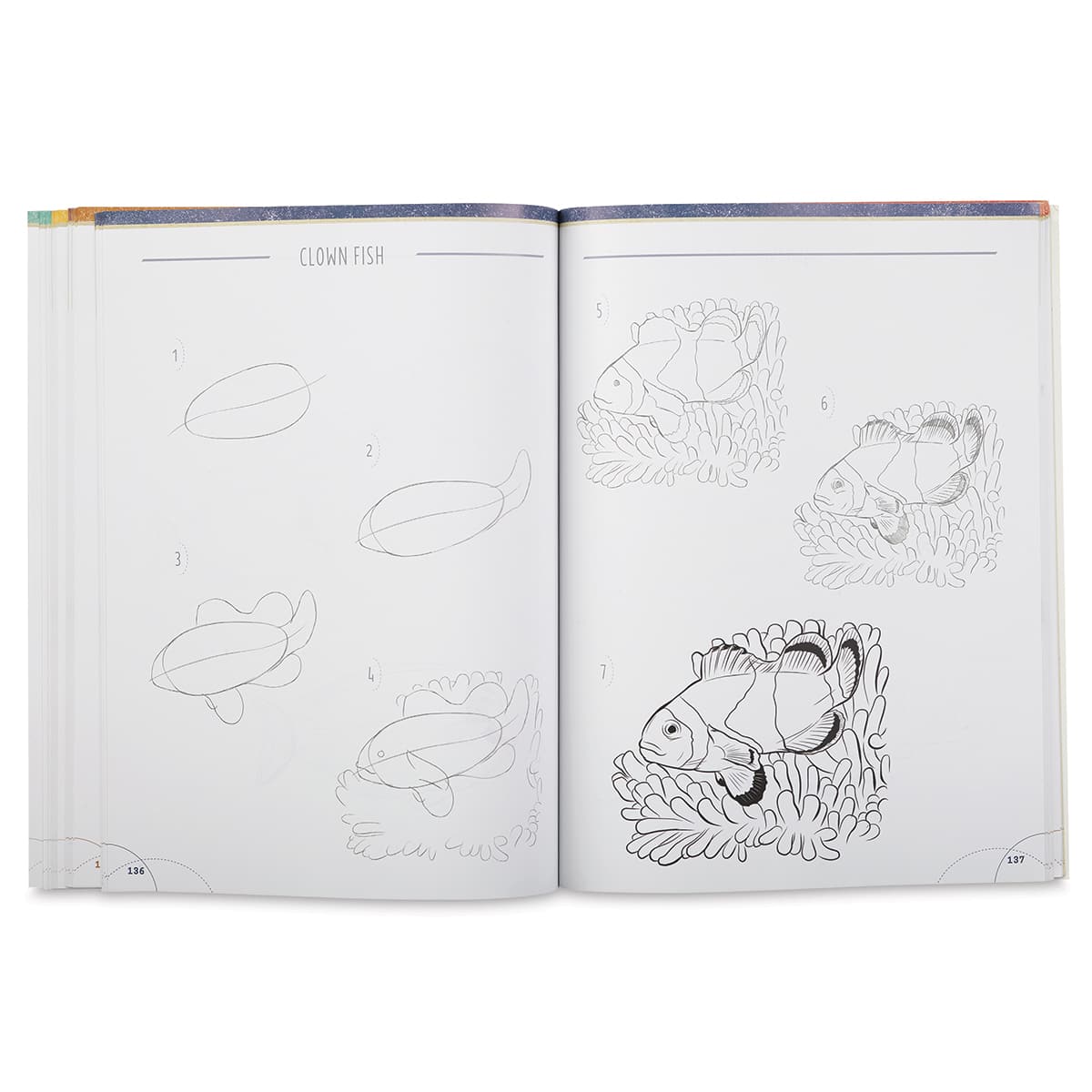 Big Book of Drawing Animals - Inside spread showing steps to draw a fish