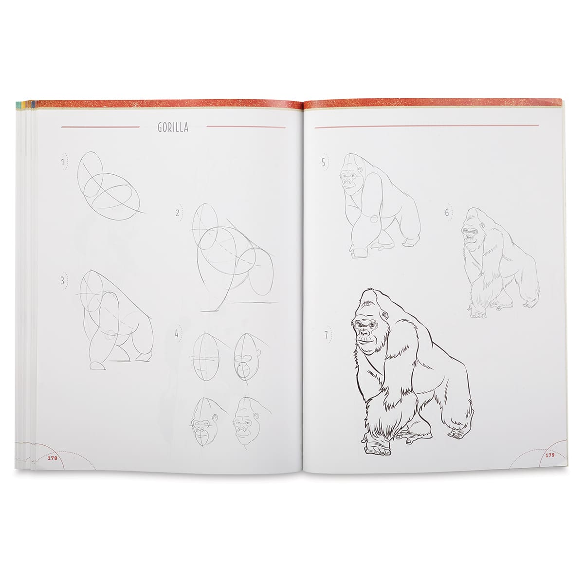 Big Book of Drawing Animals - Inside spread showing steps to draw a gorilla