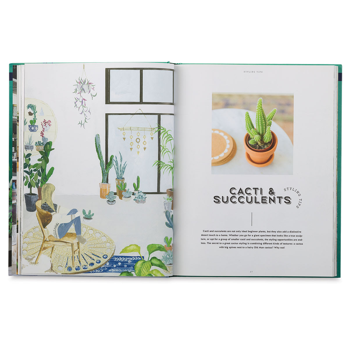 Urban Jungle: Living and Styling with Plants