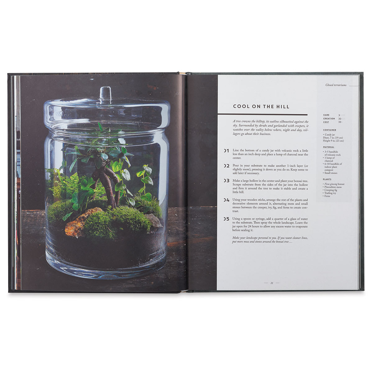 Terrariums