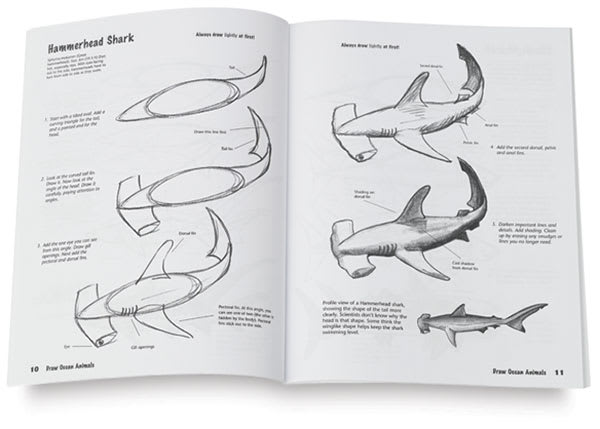 Draw! Ocean Animals