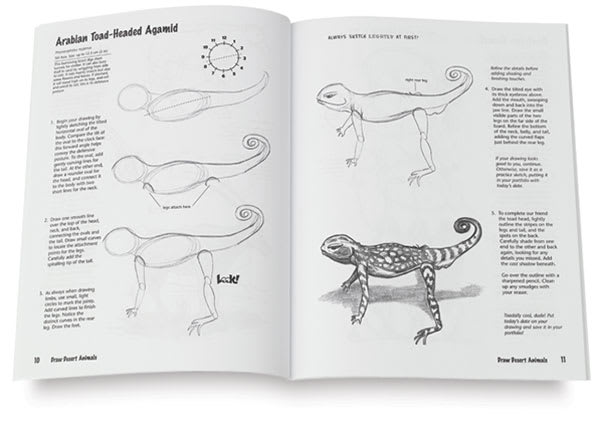 Draw! Animals