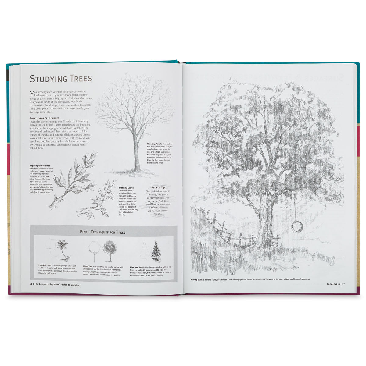 The Complete Beginner's Guide to Drawing - Spread showing how to draw Trees

