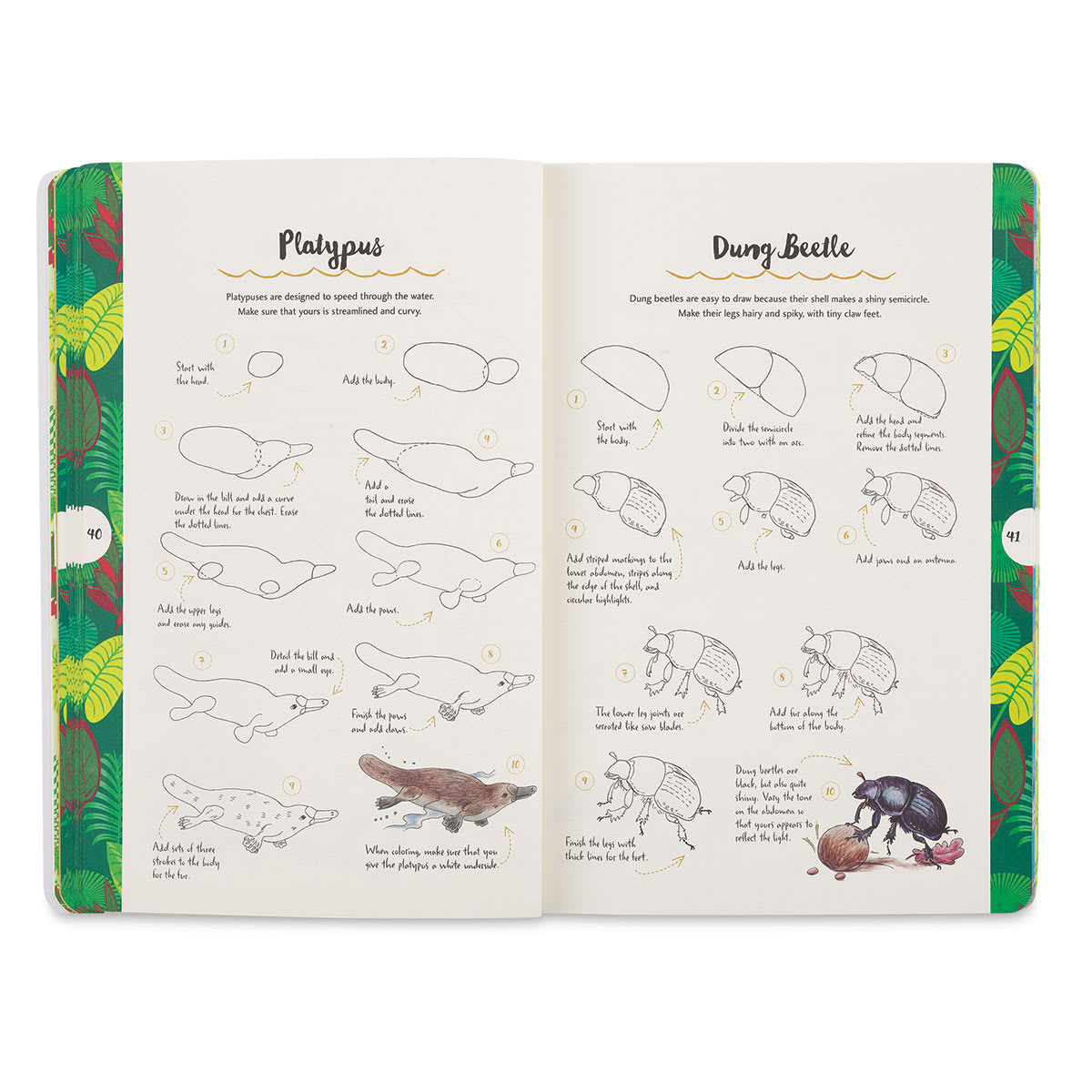 Ten-Step Drawing: Animals - Spread showing steps to draw a Platypus or a Dung Beeetle