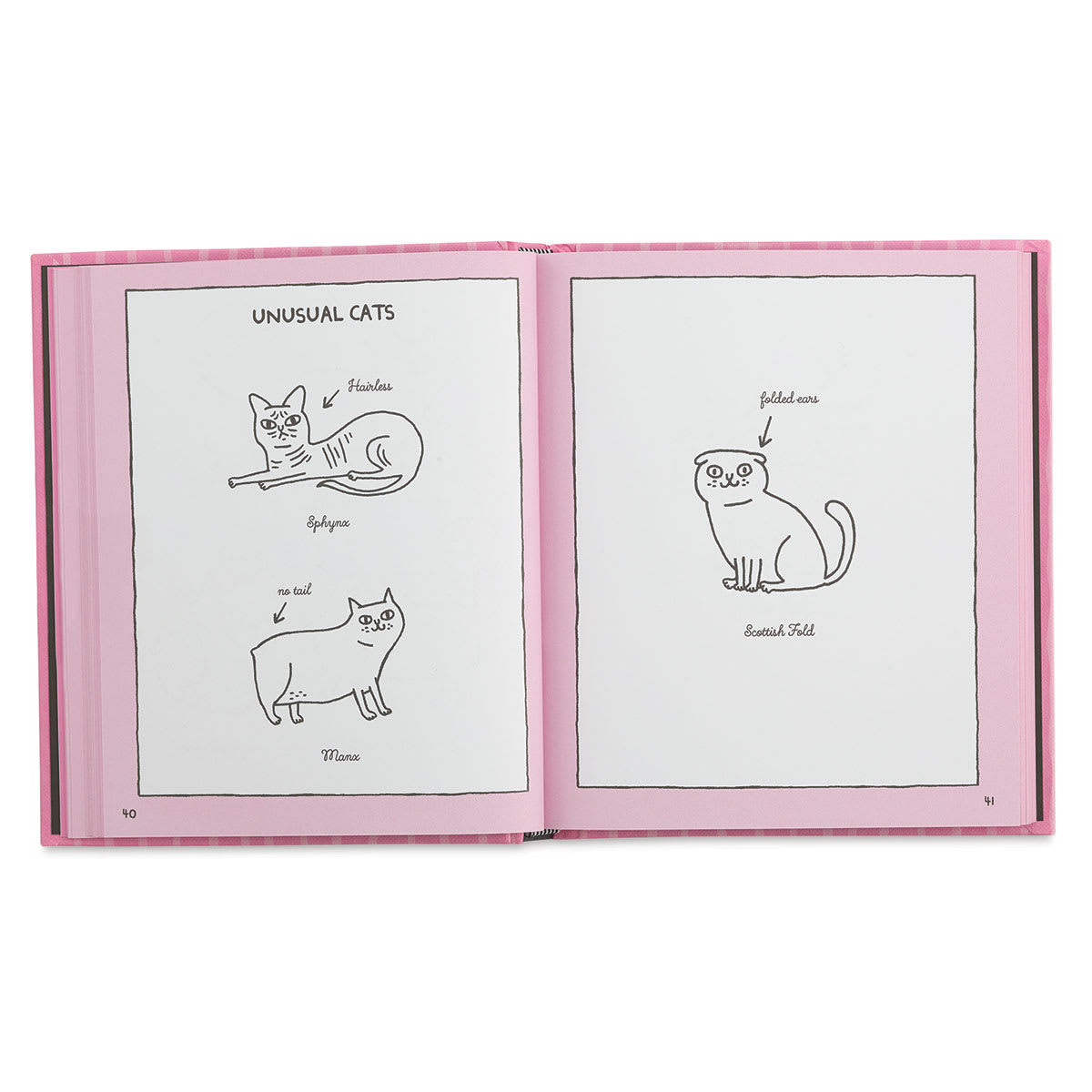 Doodled Cats