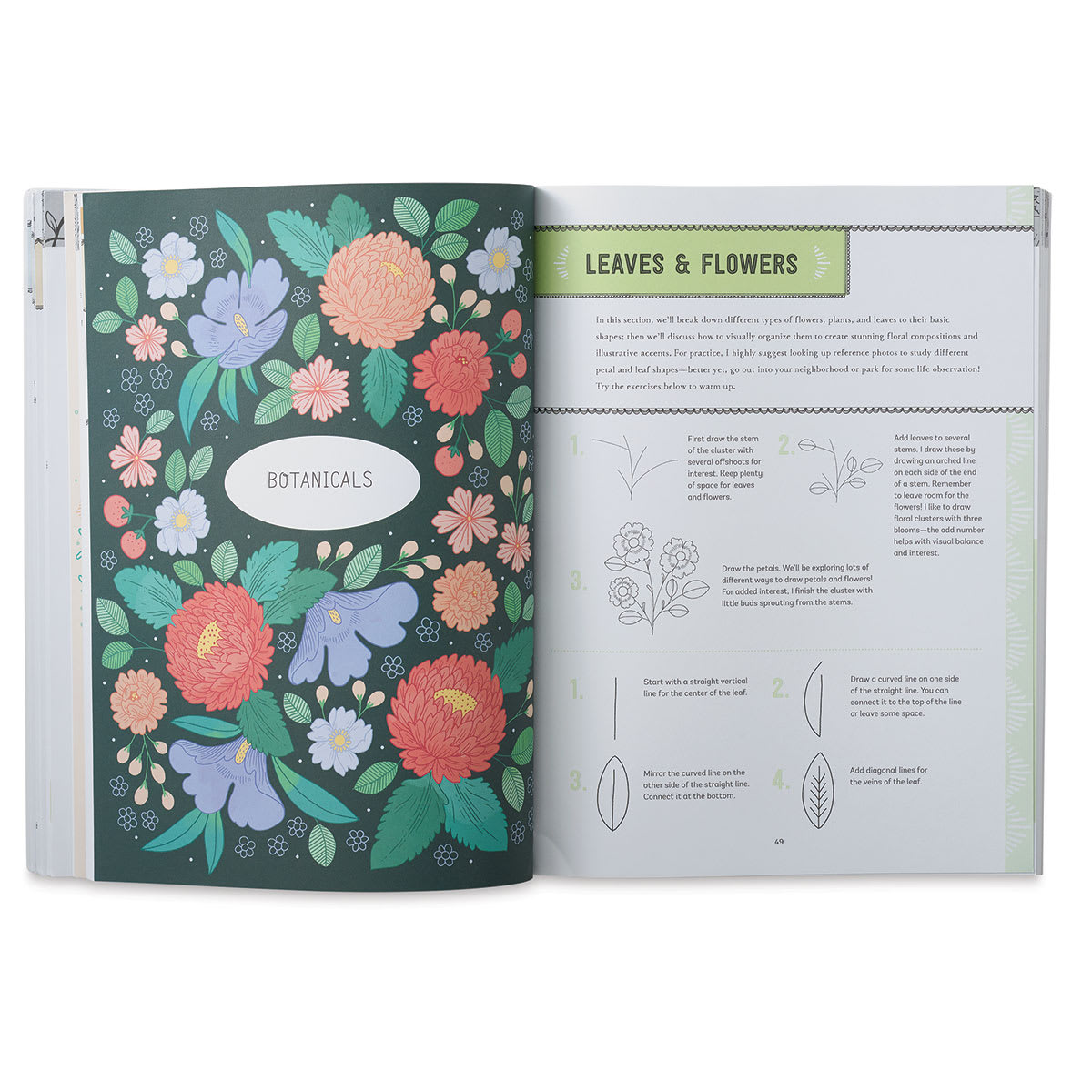 Art Starts with a Line - Spread starting chapter on Botanicals