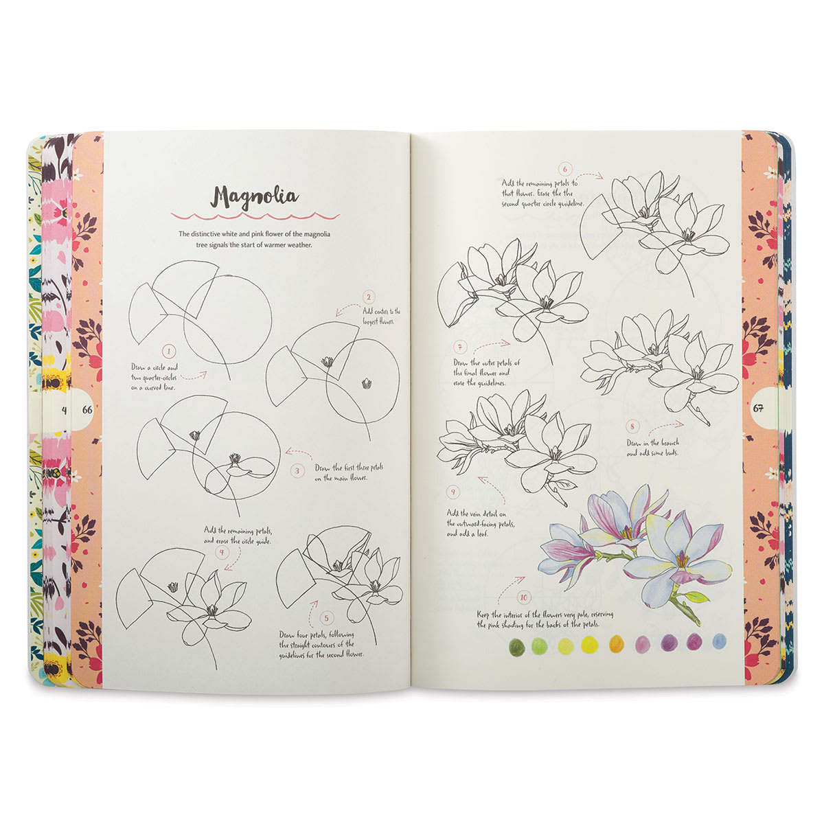 Ten-Step Drawing: Flowers - Showing 10 steps to draw Magnolias