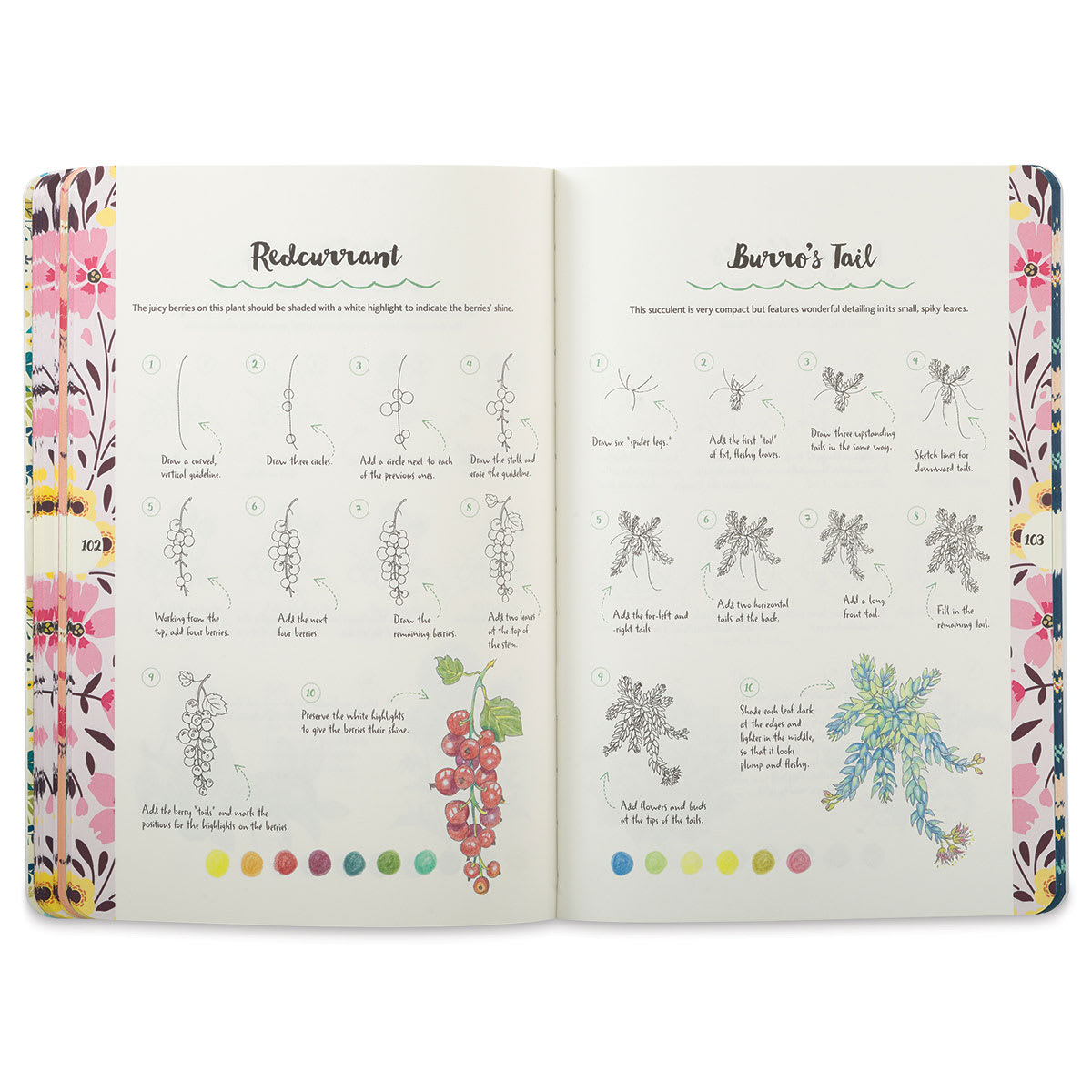 Ten-Step Drawing: Flowers - Showing 10 steps to draw Berries or Leaves