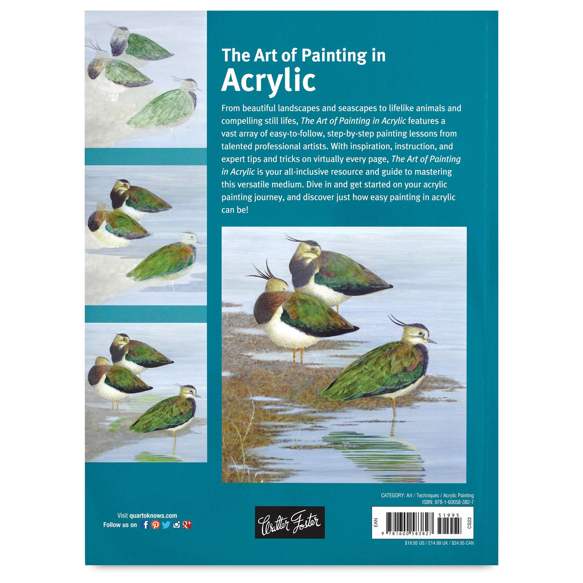 The Art of Painting in Acrylic - Back Cover of Book