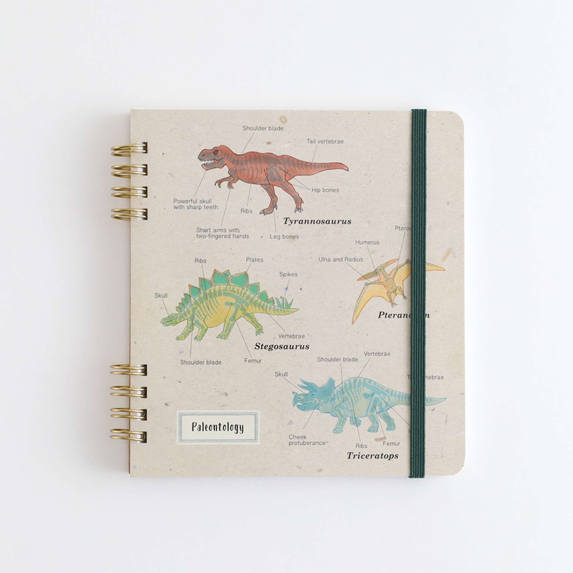 Green Flash Study Holic Sprial Notepad, Paleontology