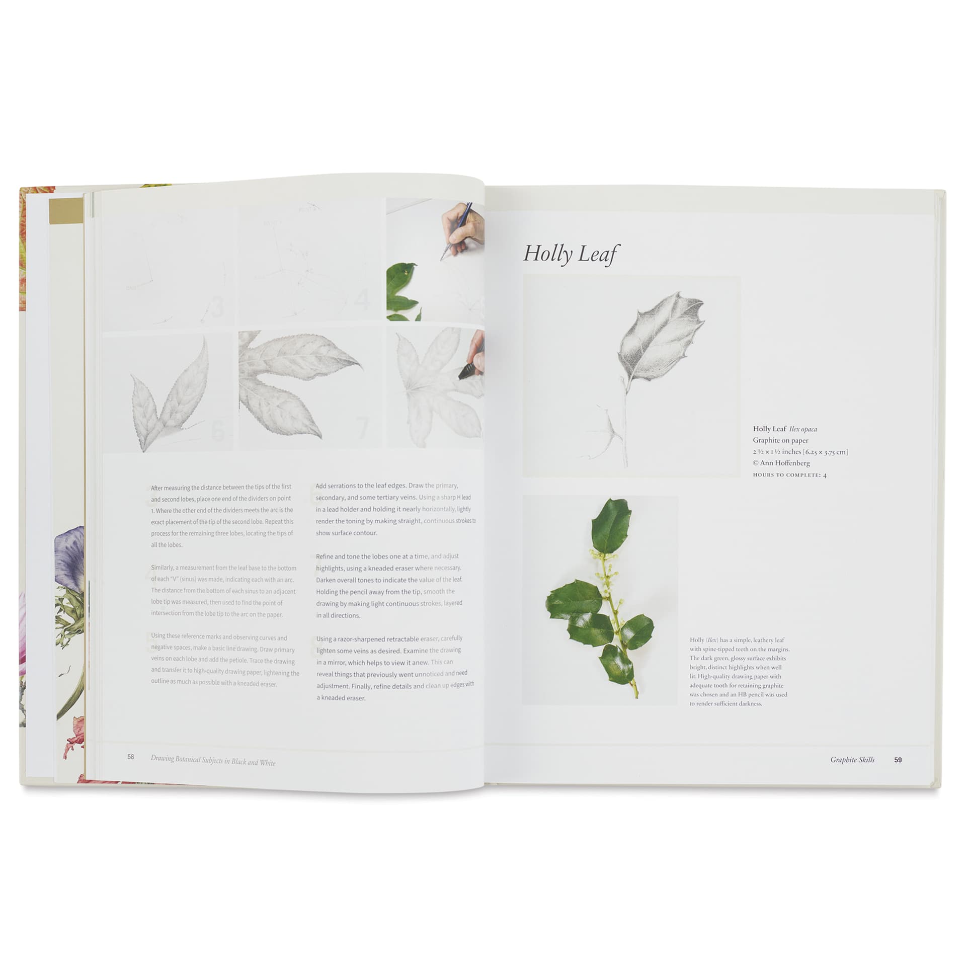 Botanical Art Techniques, Holly Leaf
