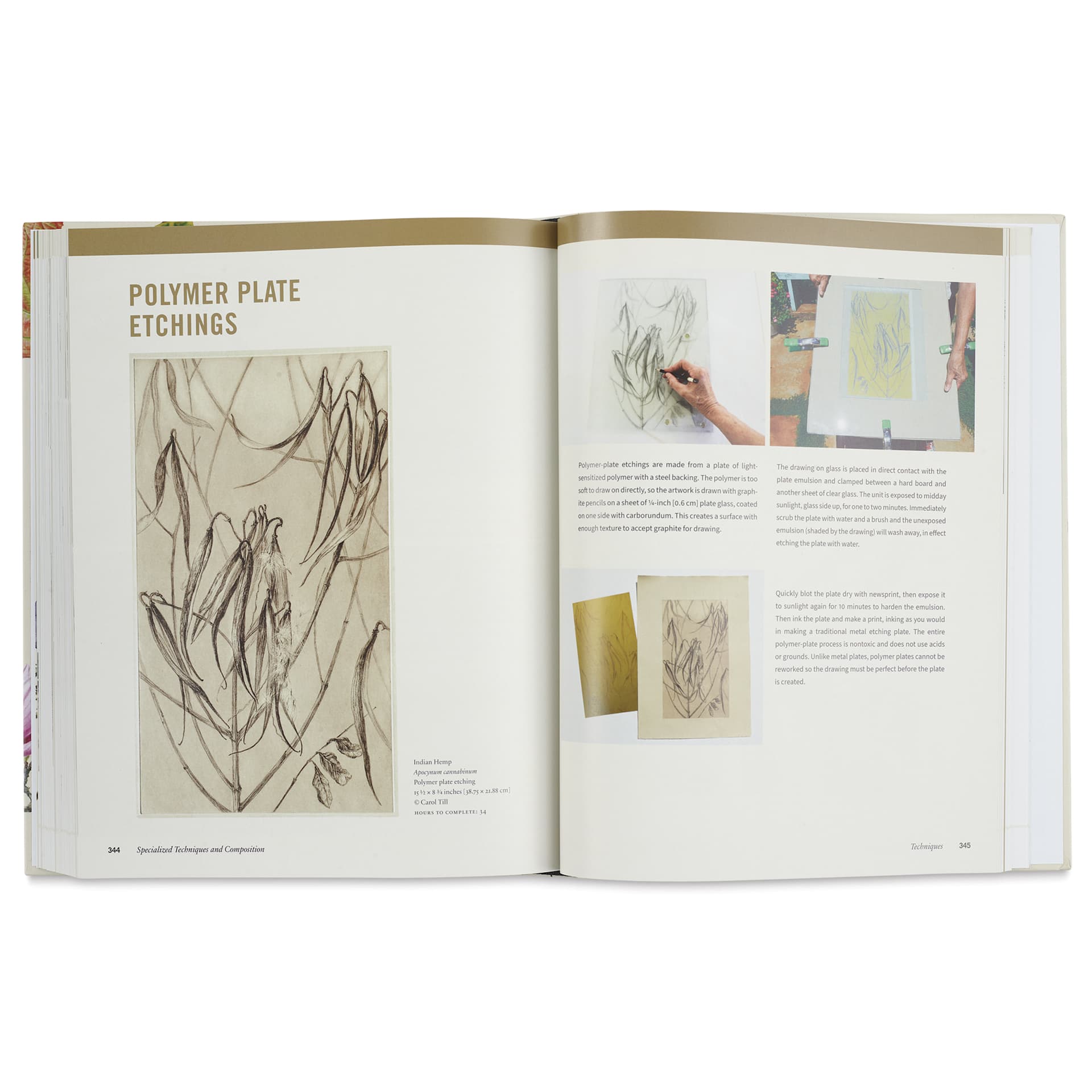 Botanical Art Techniques, Polymer Plate Etchings