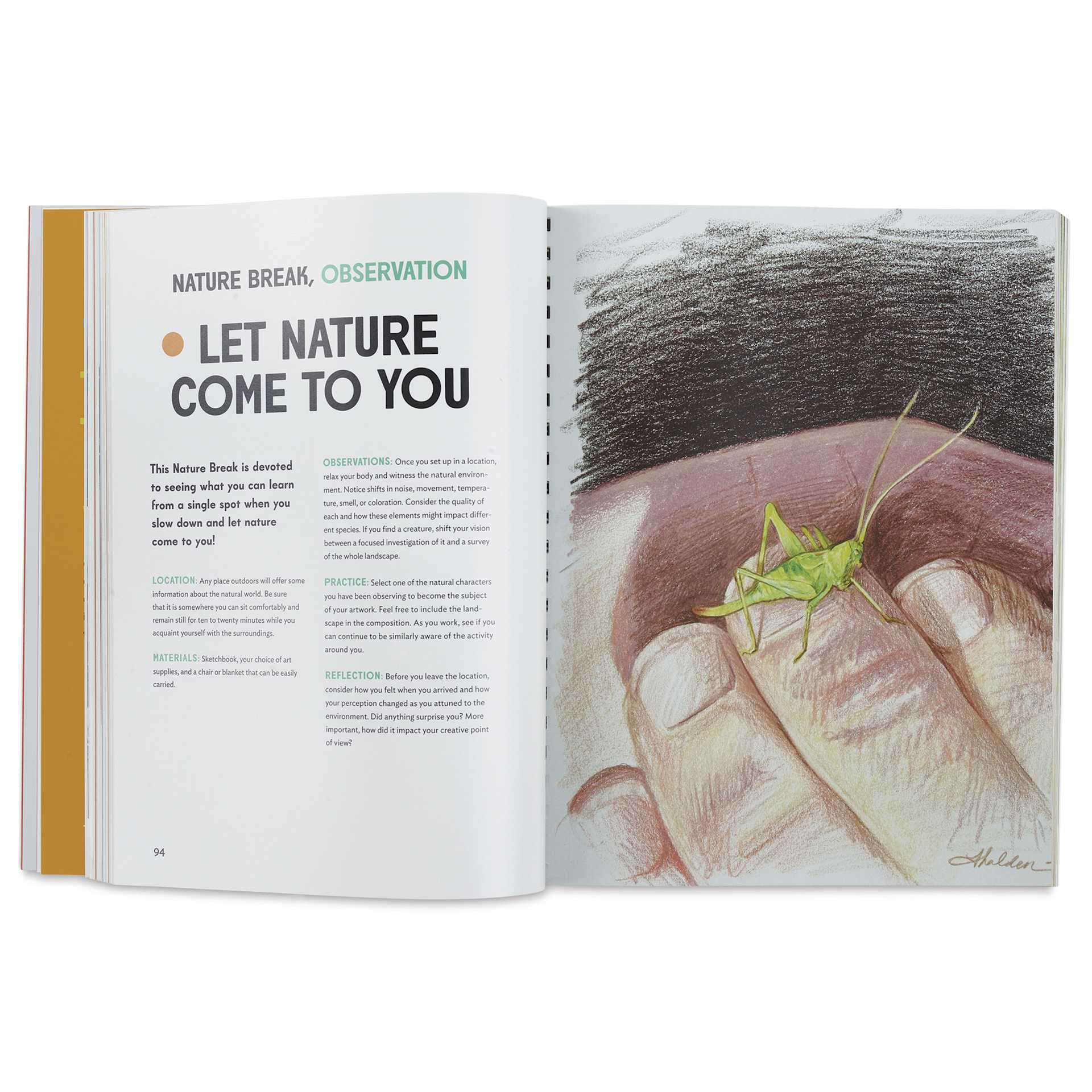 The Insect Artist, Let Nature Come To You