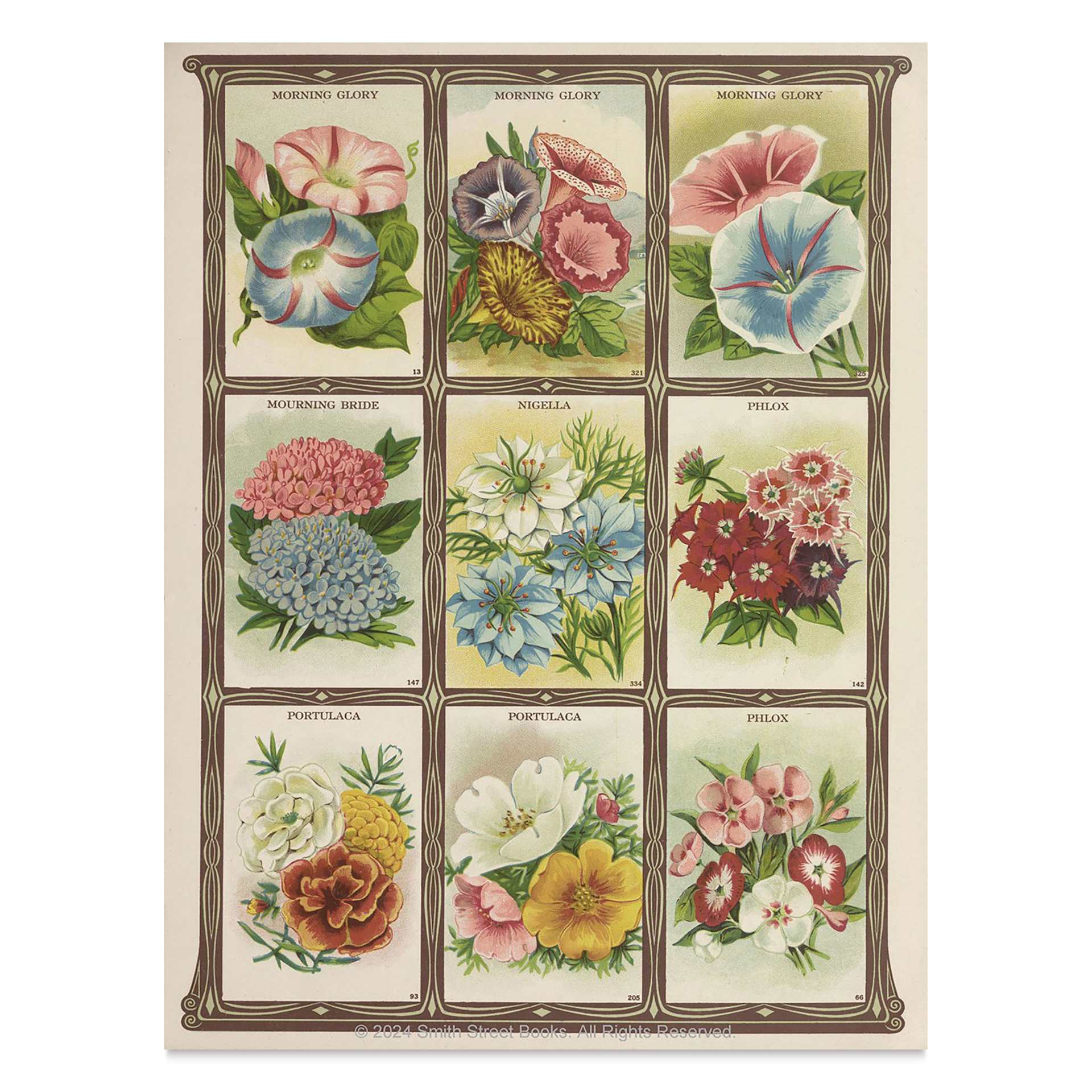 Cut-out Curiosities: Botanica, various flowers