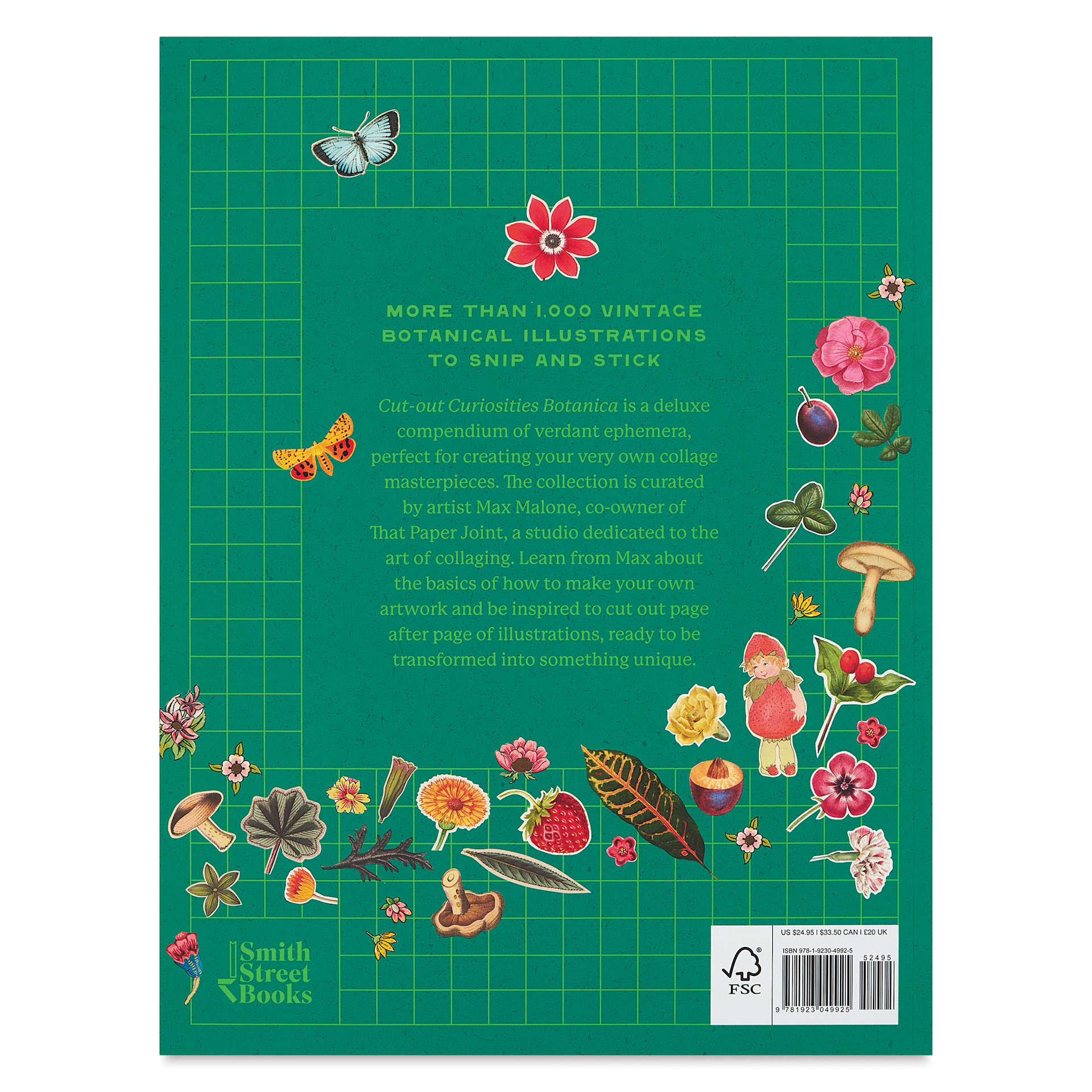 Cut-out Curiosities Botanica, back cover