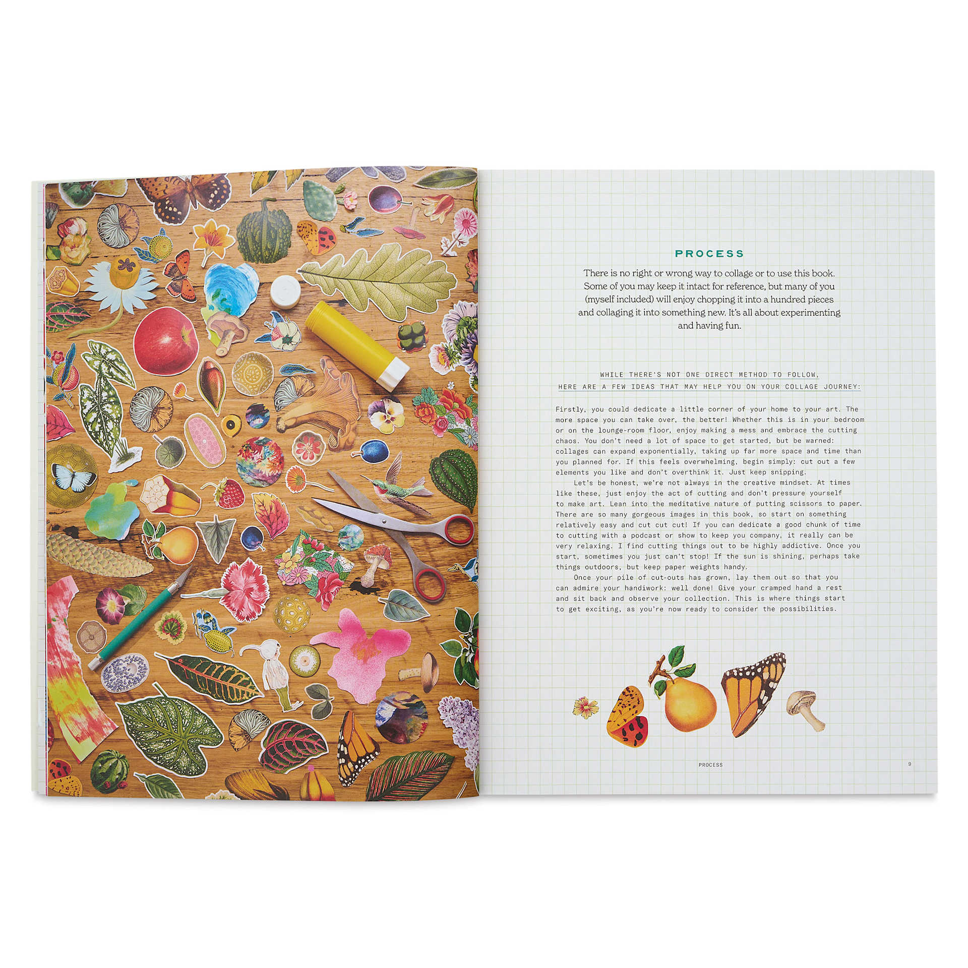 Cut-out Curiosities: Botanica, process