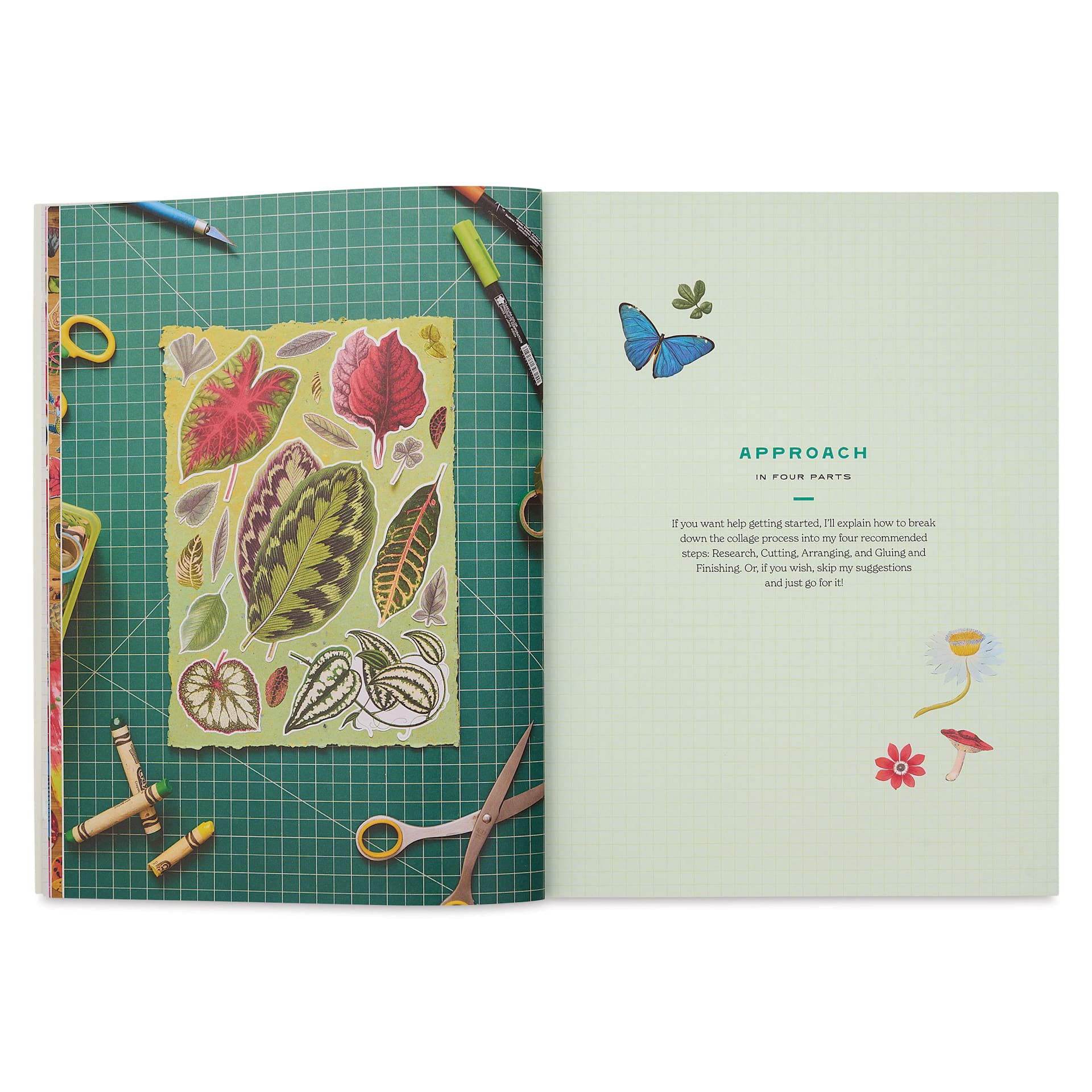 Cut-out Curiosities: Botanica, approach
