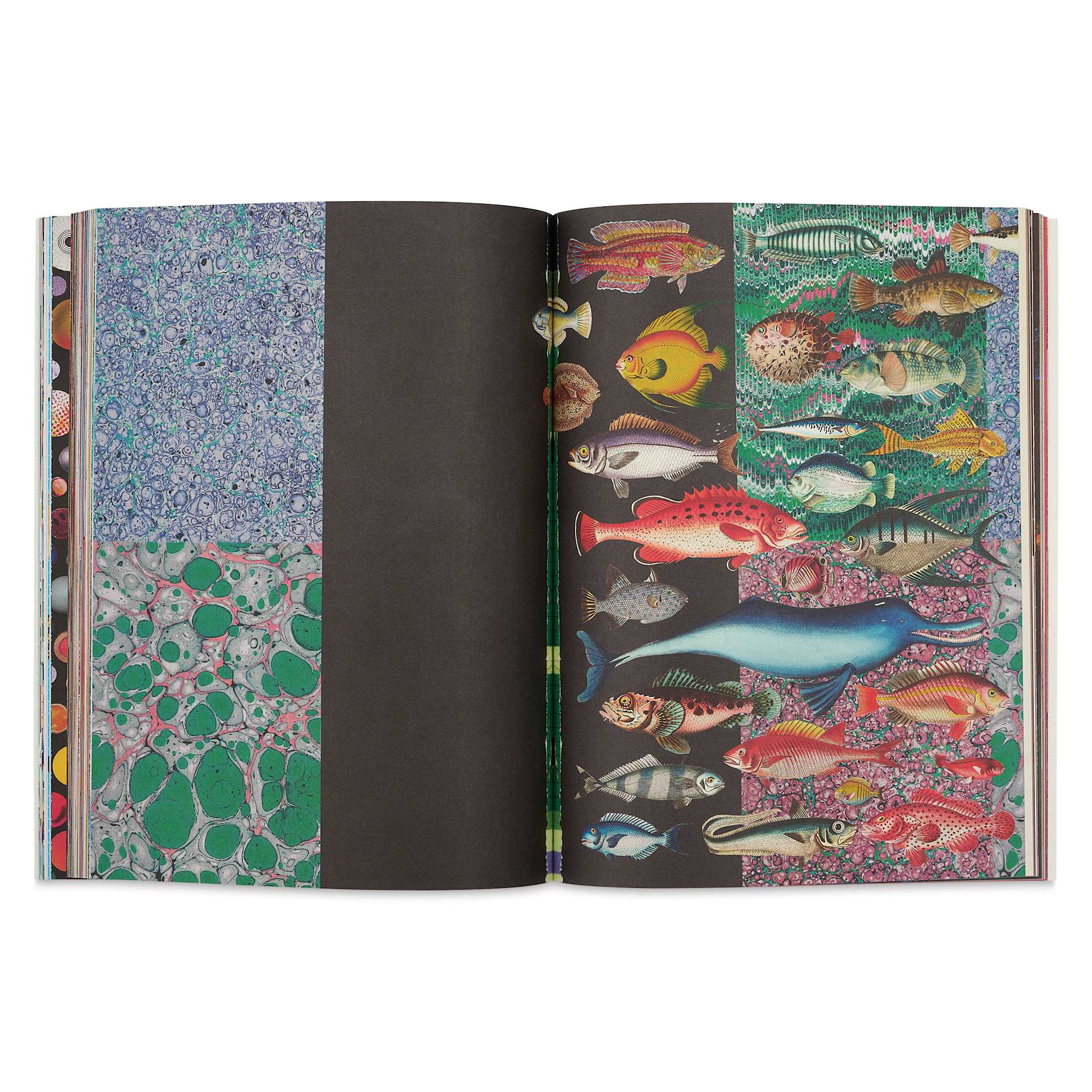 Cut-out Curiosities: Space, Science & Technology, ocean life