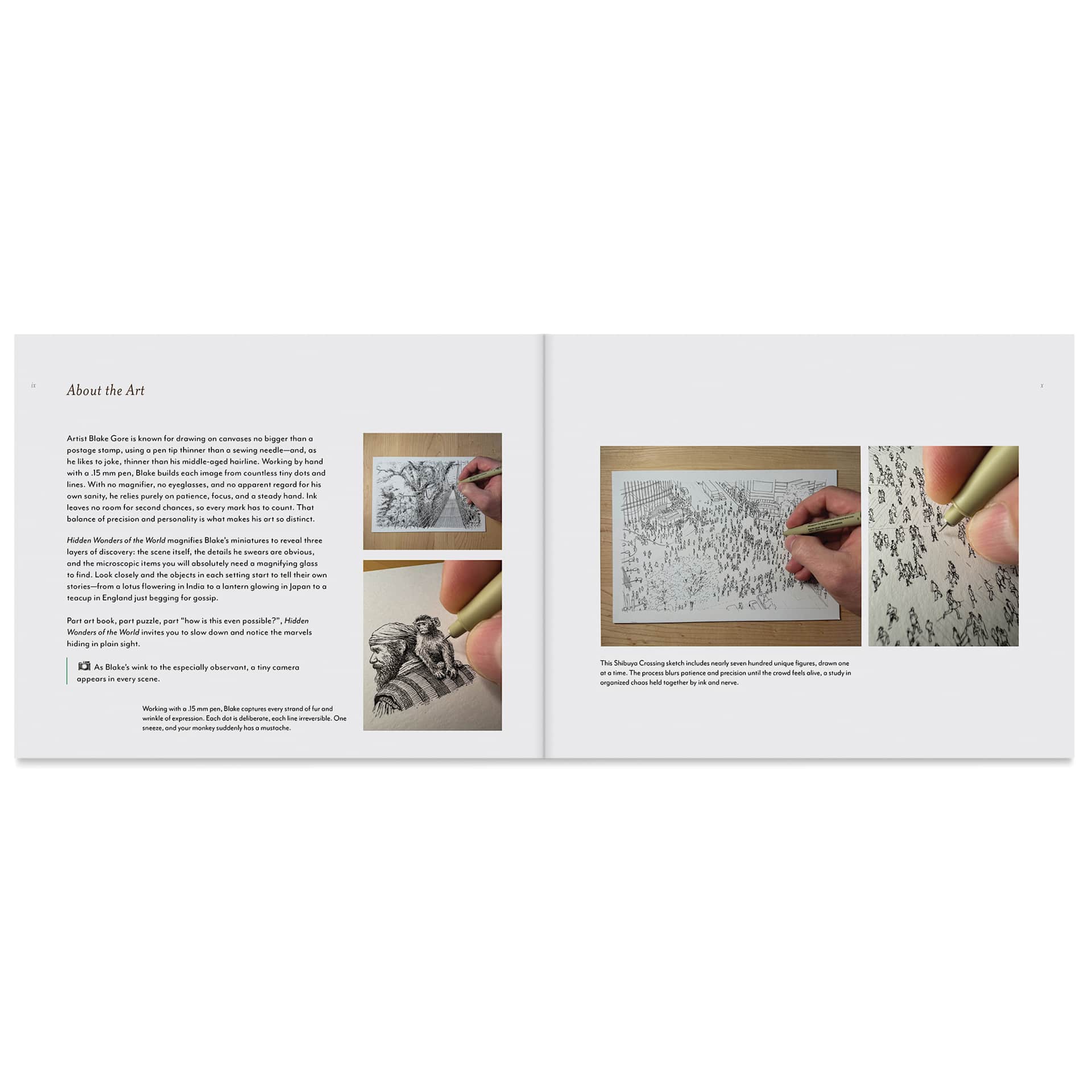 Hidden Wonders of the World: Seek-and-Find Puzzles, About The Art
