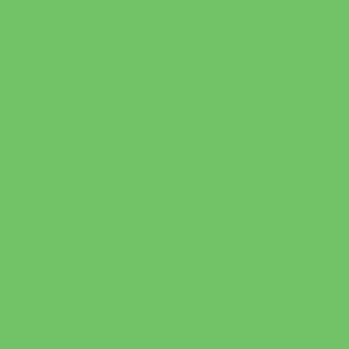 Americana Acrylic Colors Green Tree