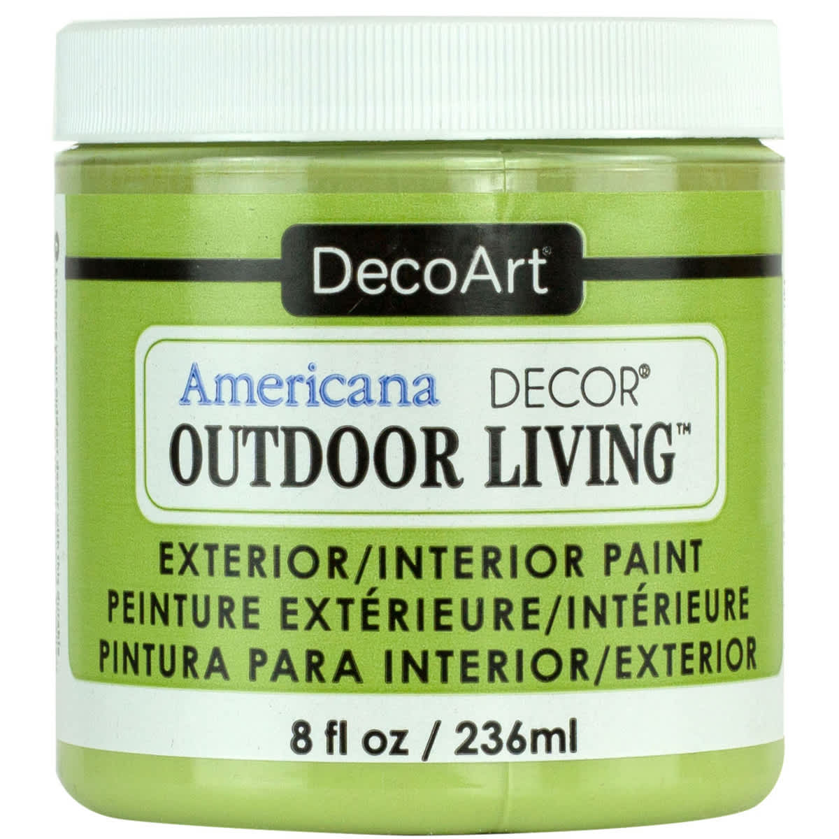 Americana Decor Outdoor Living Paint Succulent