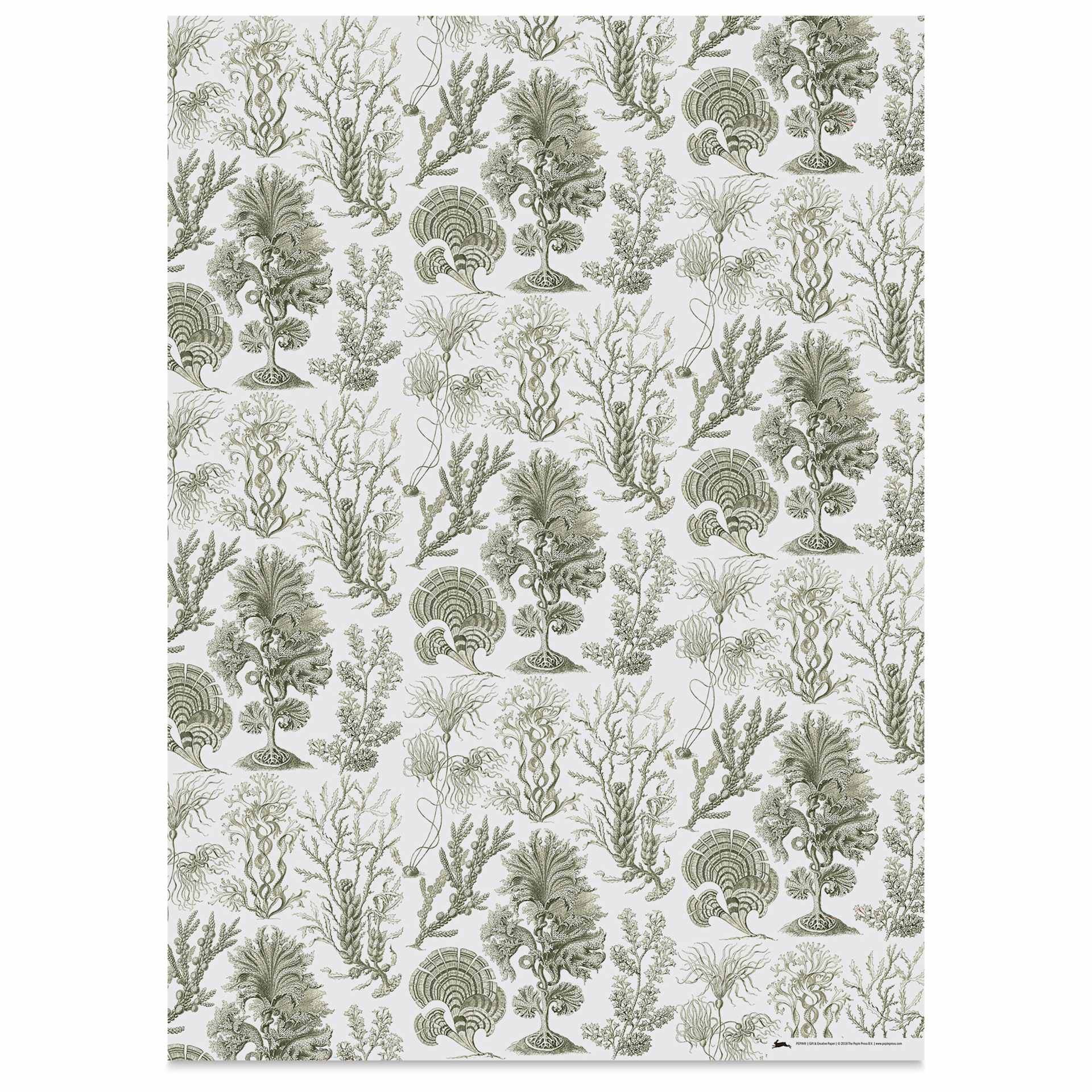 Pepin Press Creative Paper Book - Art Forms In Nature, ocean flora