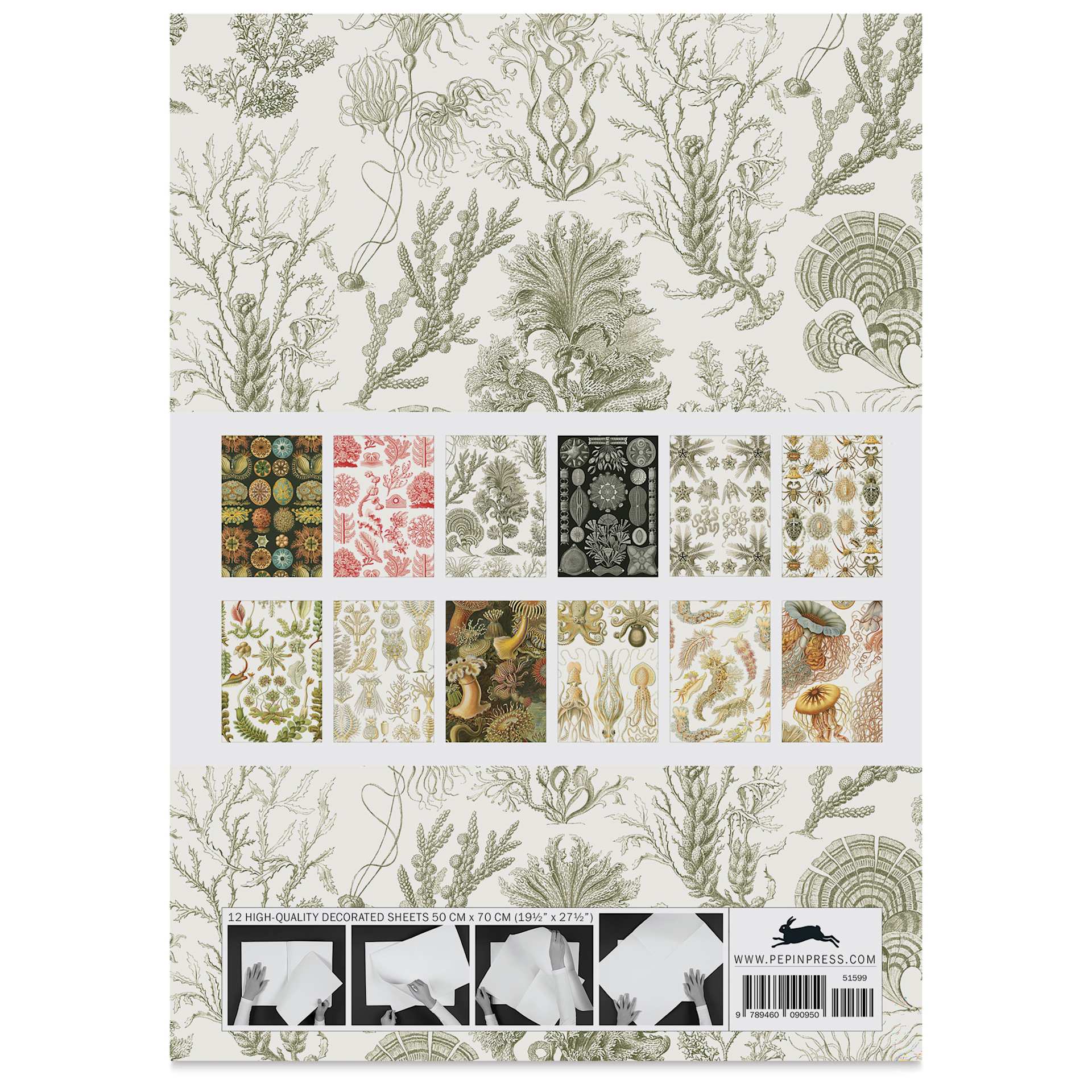 Pepin Press Creative Paper Book - Art Forms In Nature, back of packaging