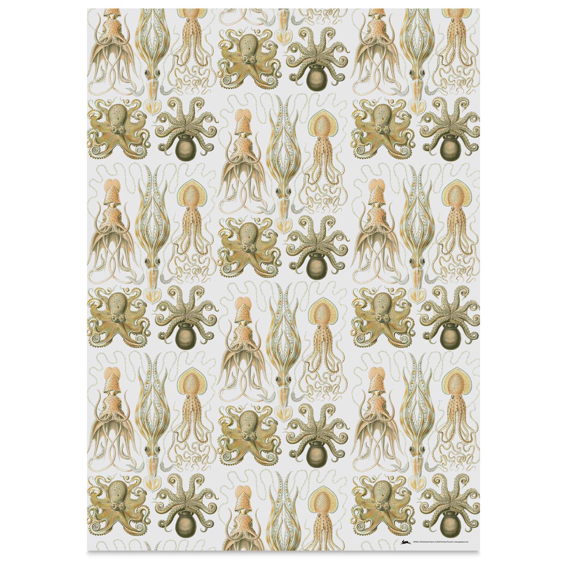 Pepin Press Creative Paper Book - Art Forms In Nature, octopi