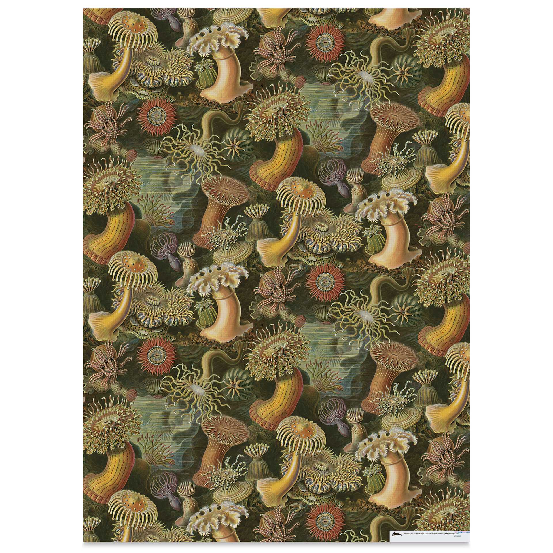 Pepin Press Creative Paper Book - Art Forms In Nature, ocean life