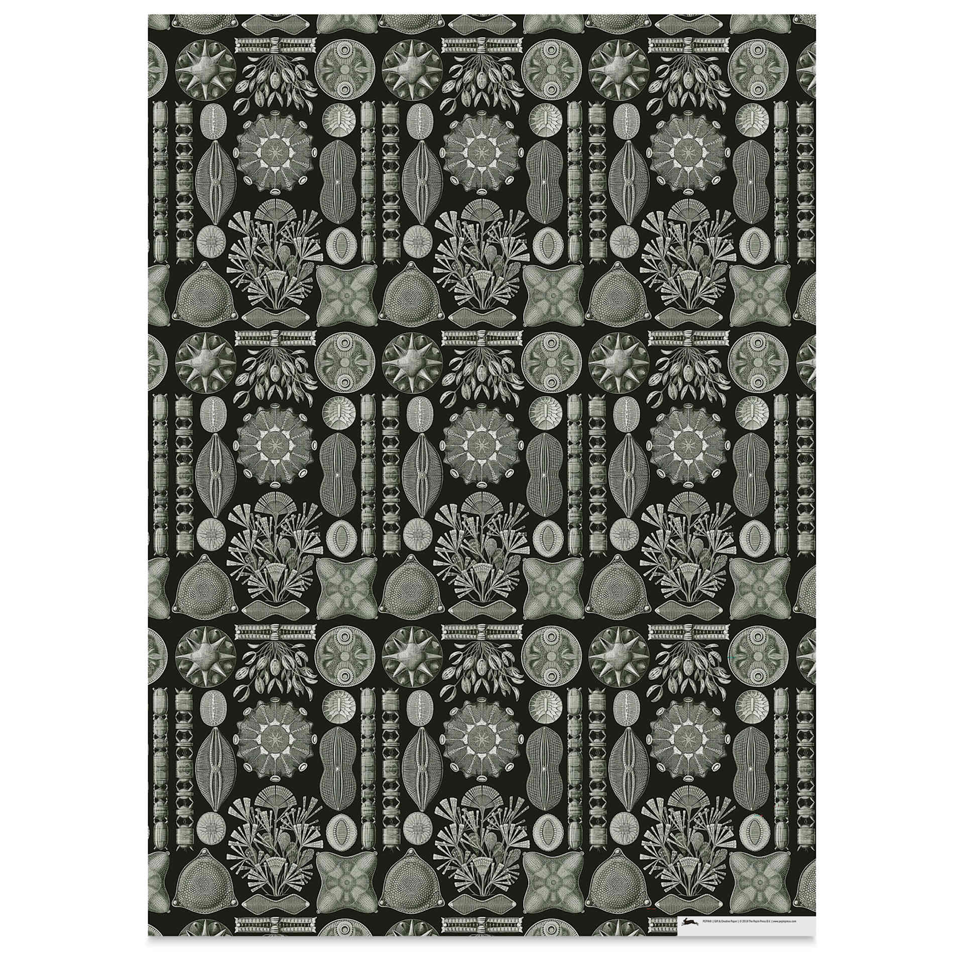 Pepin Press Creative Paper Book - Art Forms In Nature, black and gray sheet
