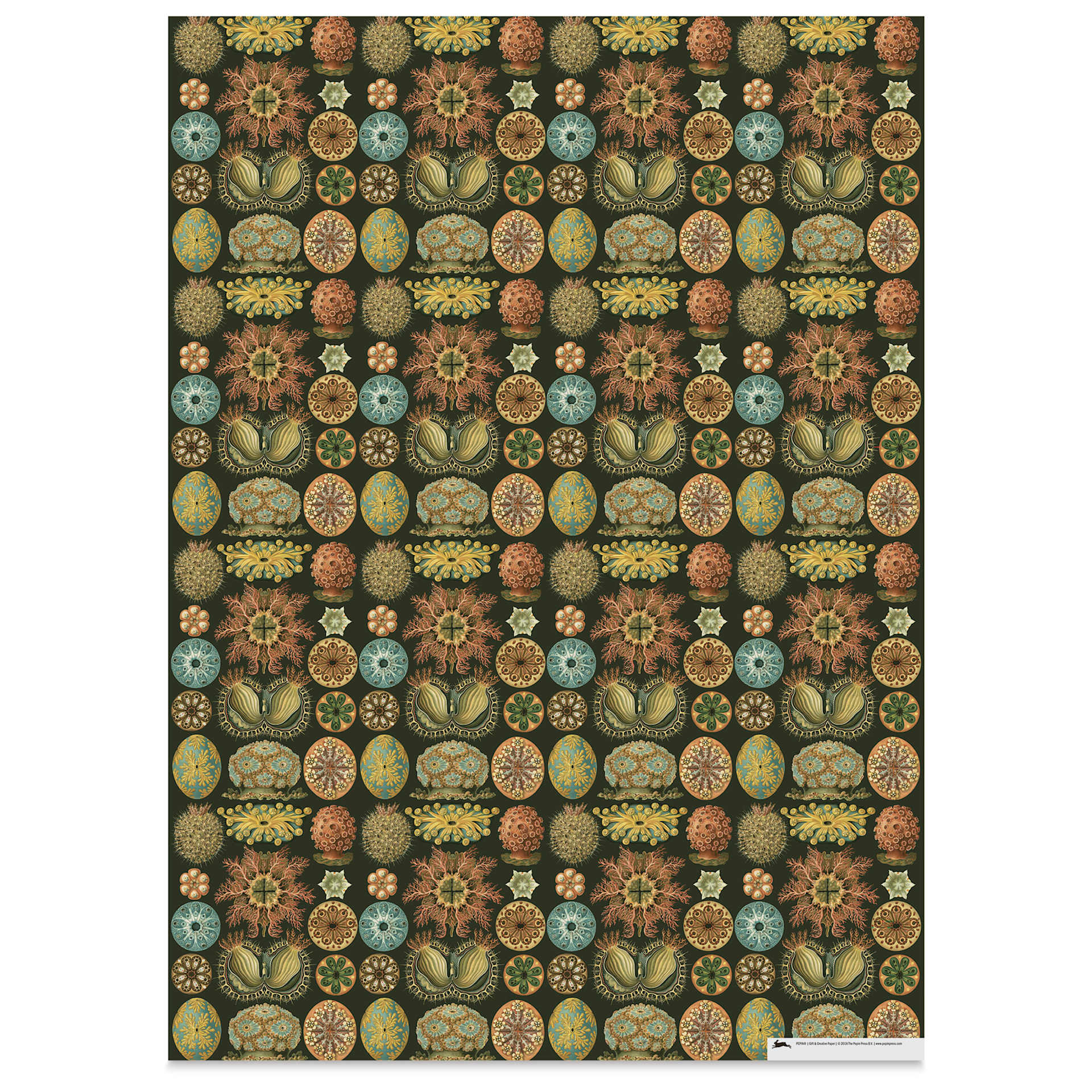 Pepin Press Creative Paper Book - Art Forms In Nature, sheet from book