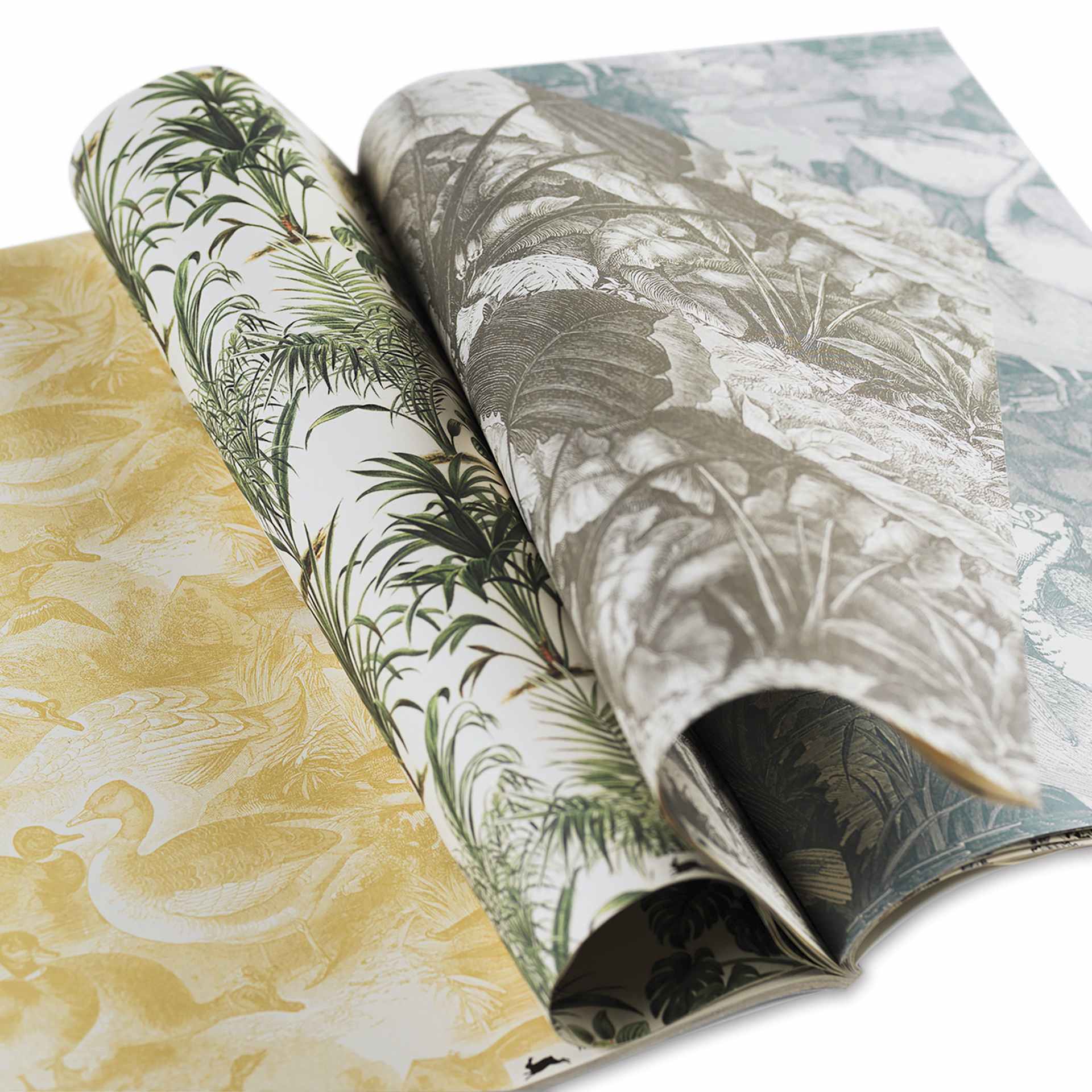 Pepin Press Creative Paper Book - Natural History