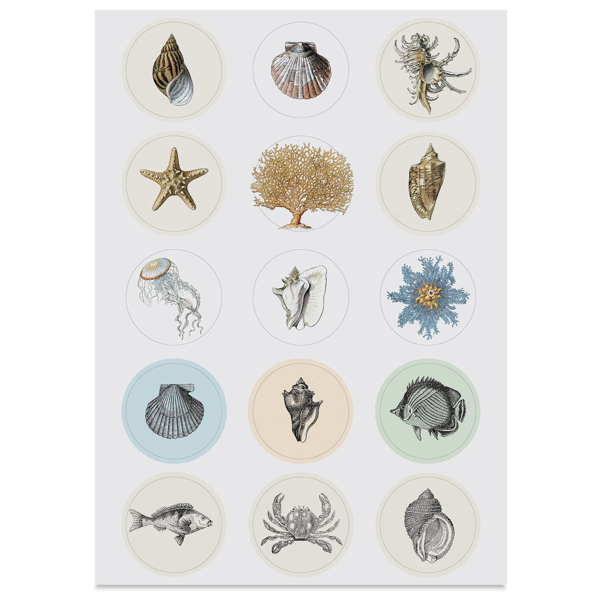 Pepin Press Label, Sticker & Tape Book - Natural History, 6-1/2" x 9-1/2", ocean life