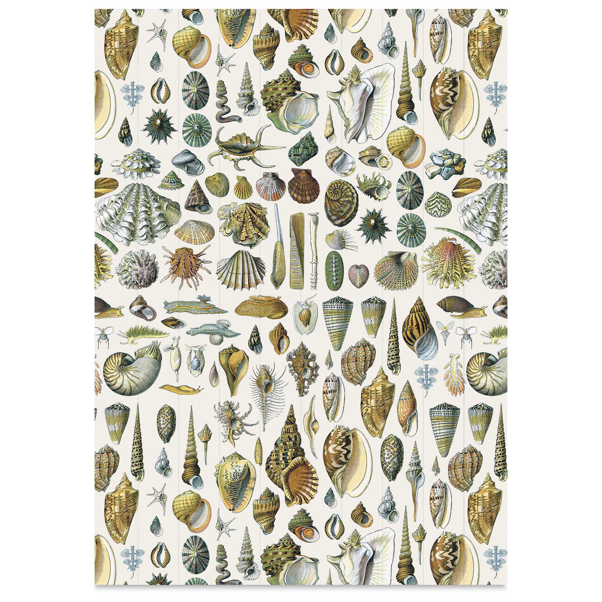 Labels, Stickers, and Tapes Book - Natural History, 6-1/2" x 9-1/2", various ocean life stickers