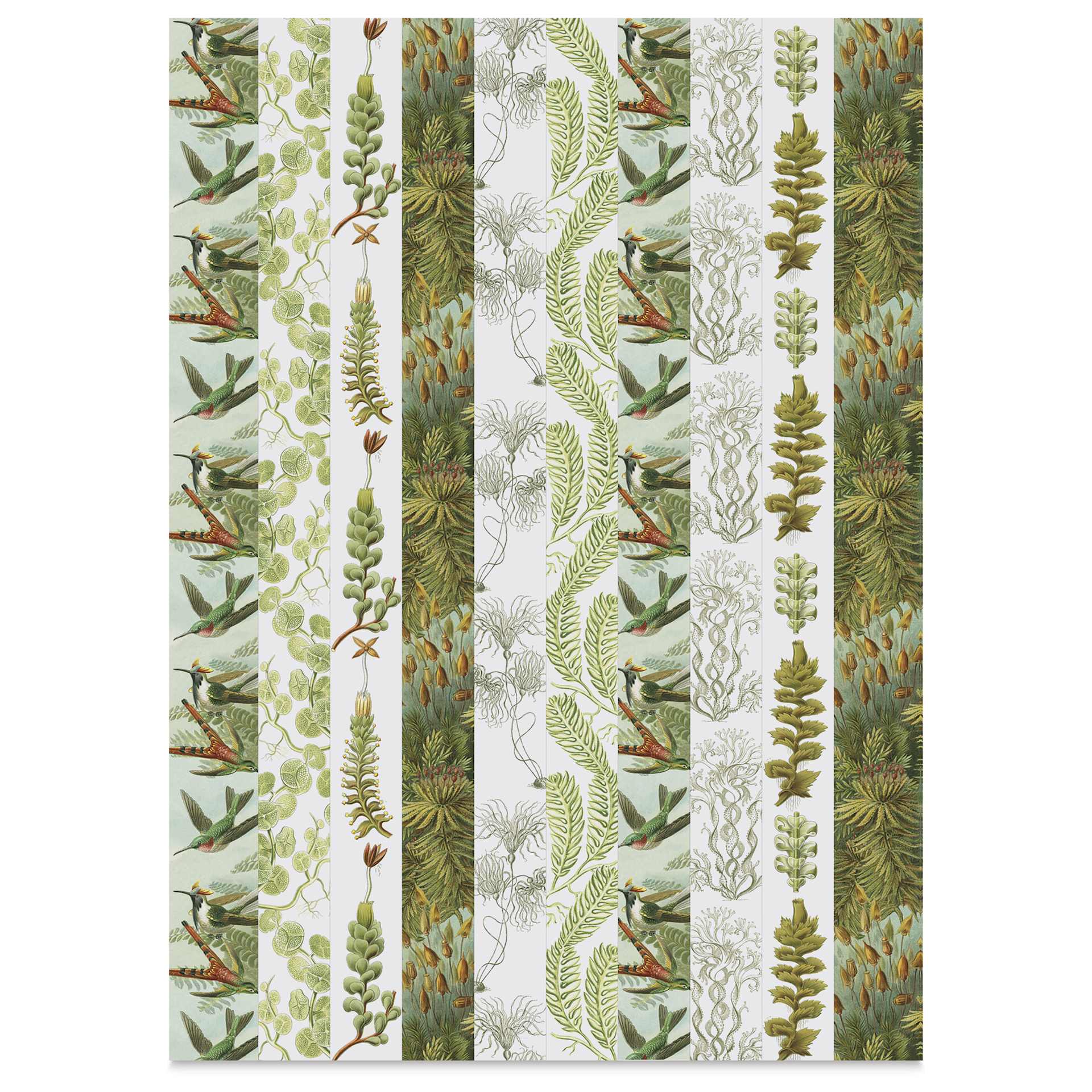 Pepin Press Label, Sticker & Tape Book - Art Forms In Nature, 6-1/2" x 9-1/2", plants
