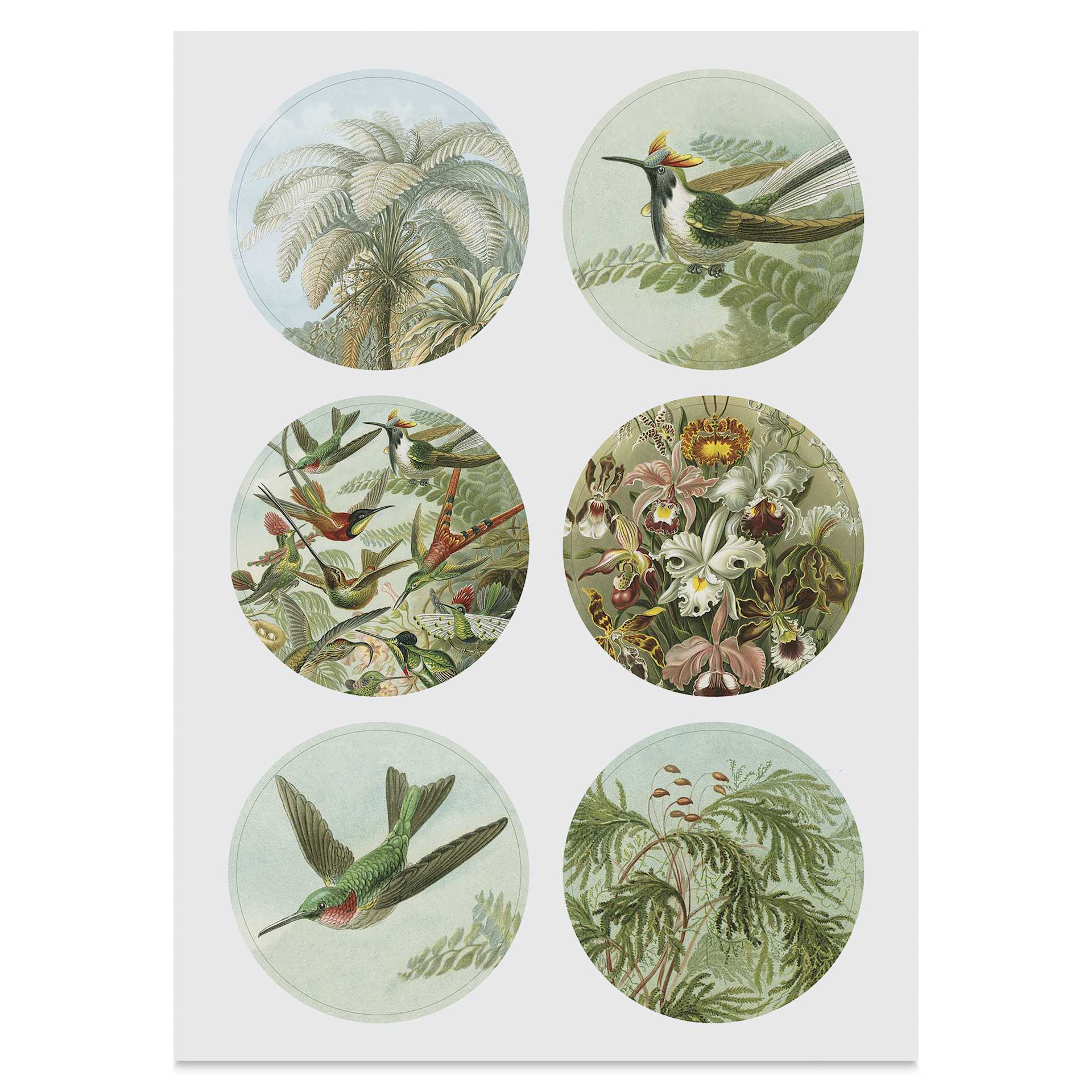 Pepin Press Label, Sticker & Tape Book - Art Forms In Nature, 6-1/2" x 9-1/2", circular stickers