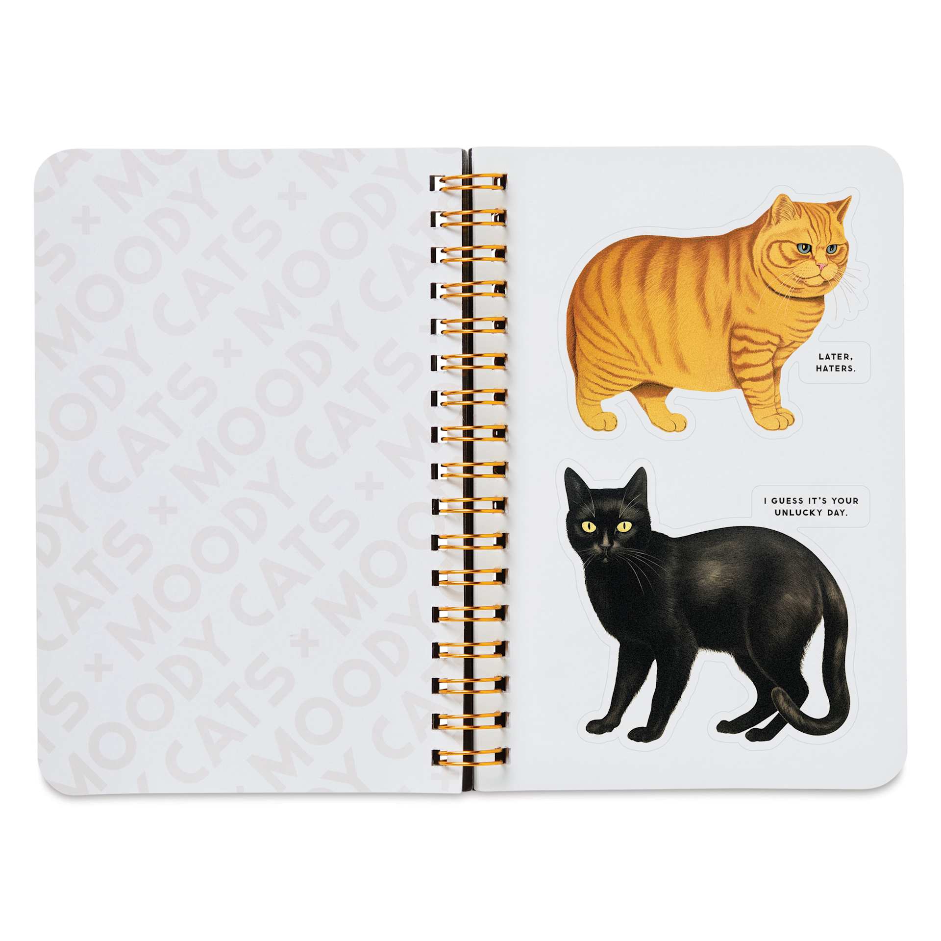 Moody Cats Sticker Book, black and orange cat stickers