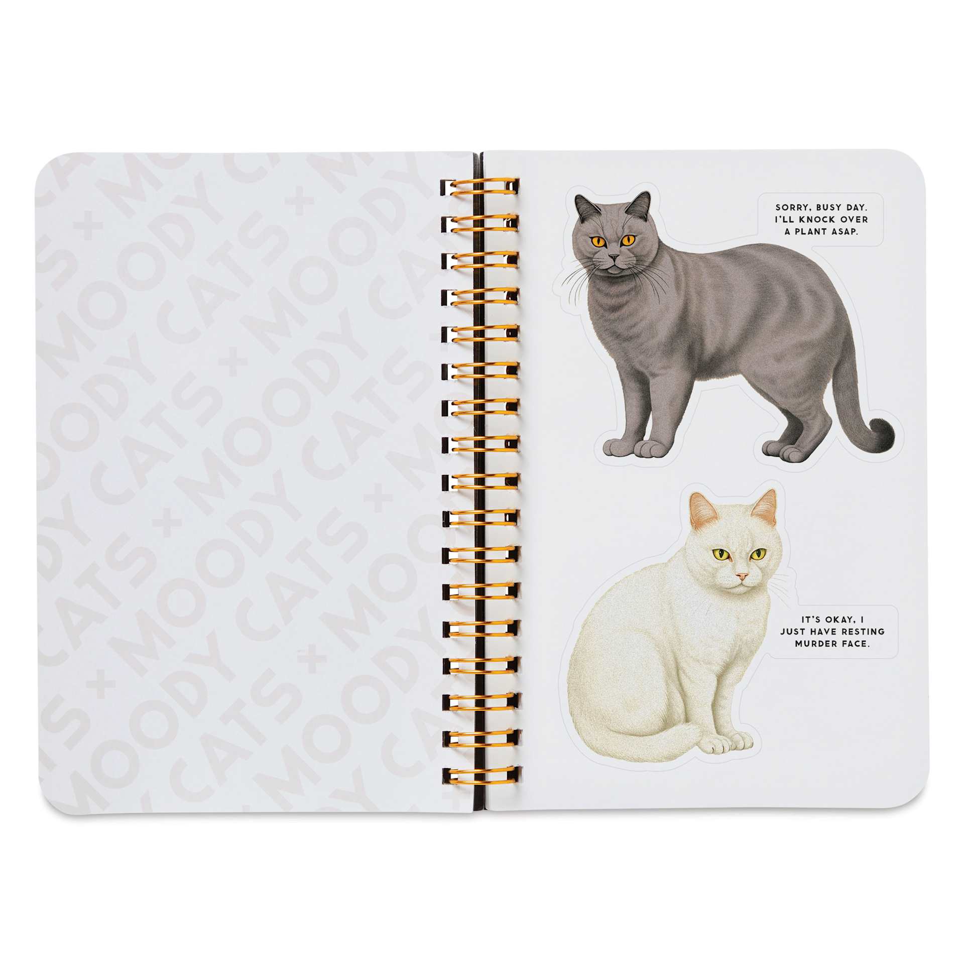 Moody Cats Sticker Book, white and brown cat stickers