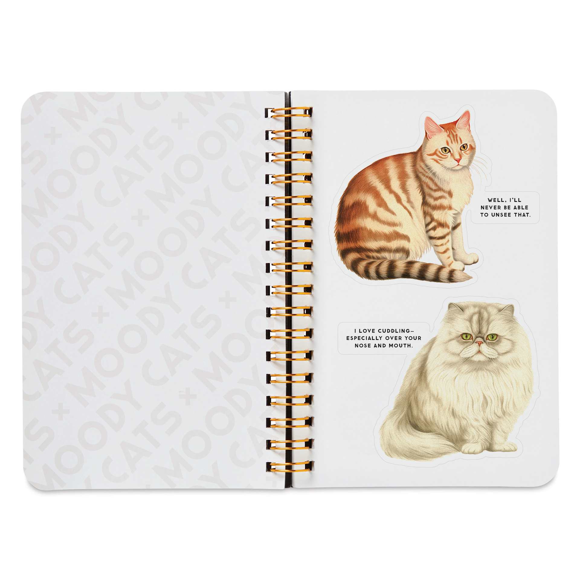 Moody Cats Sticker Book, orange and white cat stickers