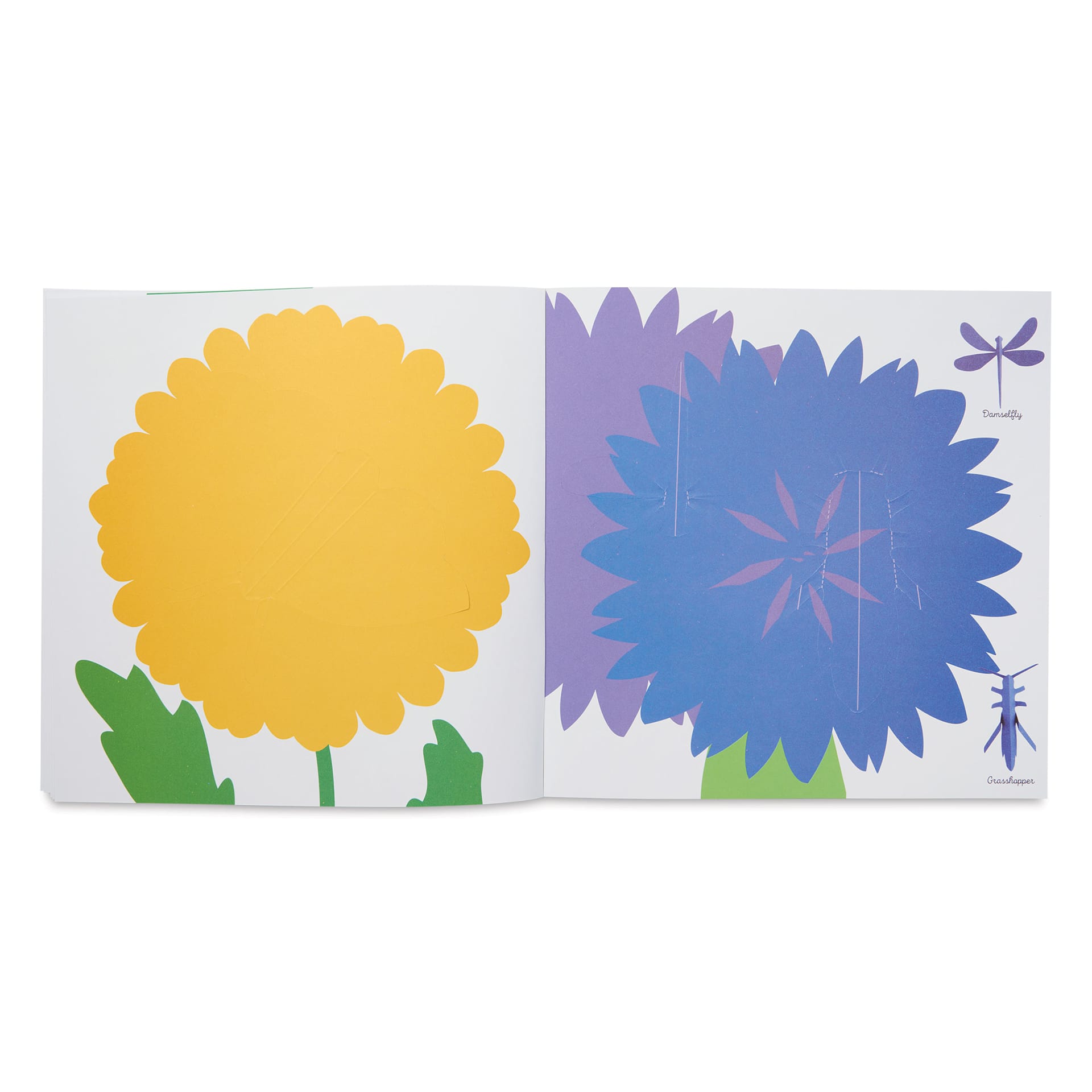Insects : Fold & Play, flowers