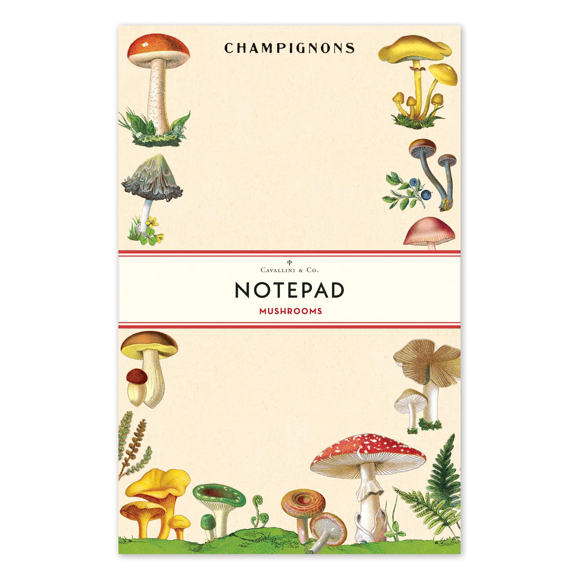 Cavallini Notepad Mushrooms