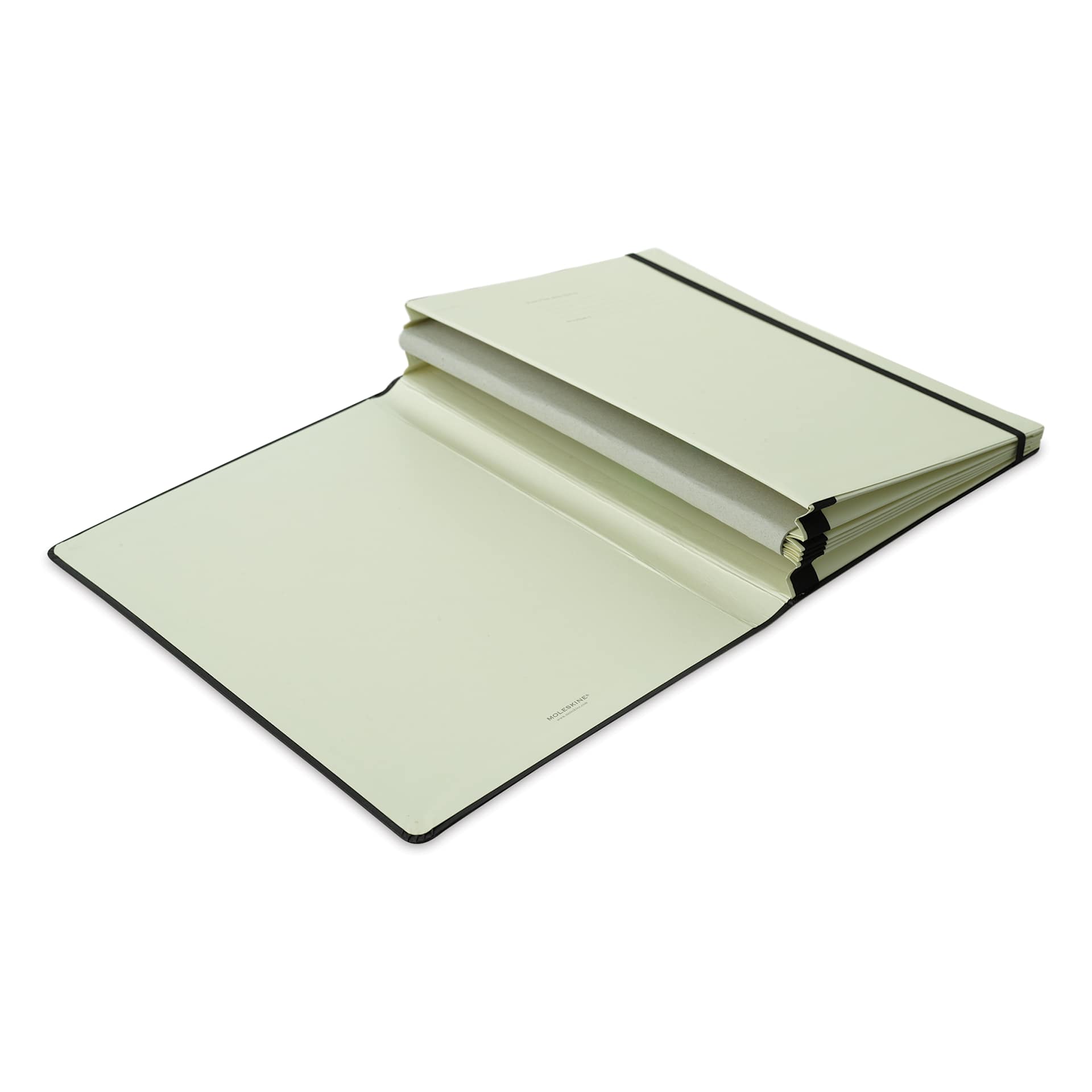 Moleskine Folio Pocket Portfolio - 6 Pockets, 13" x 9-1/2" (open to show pockets)