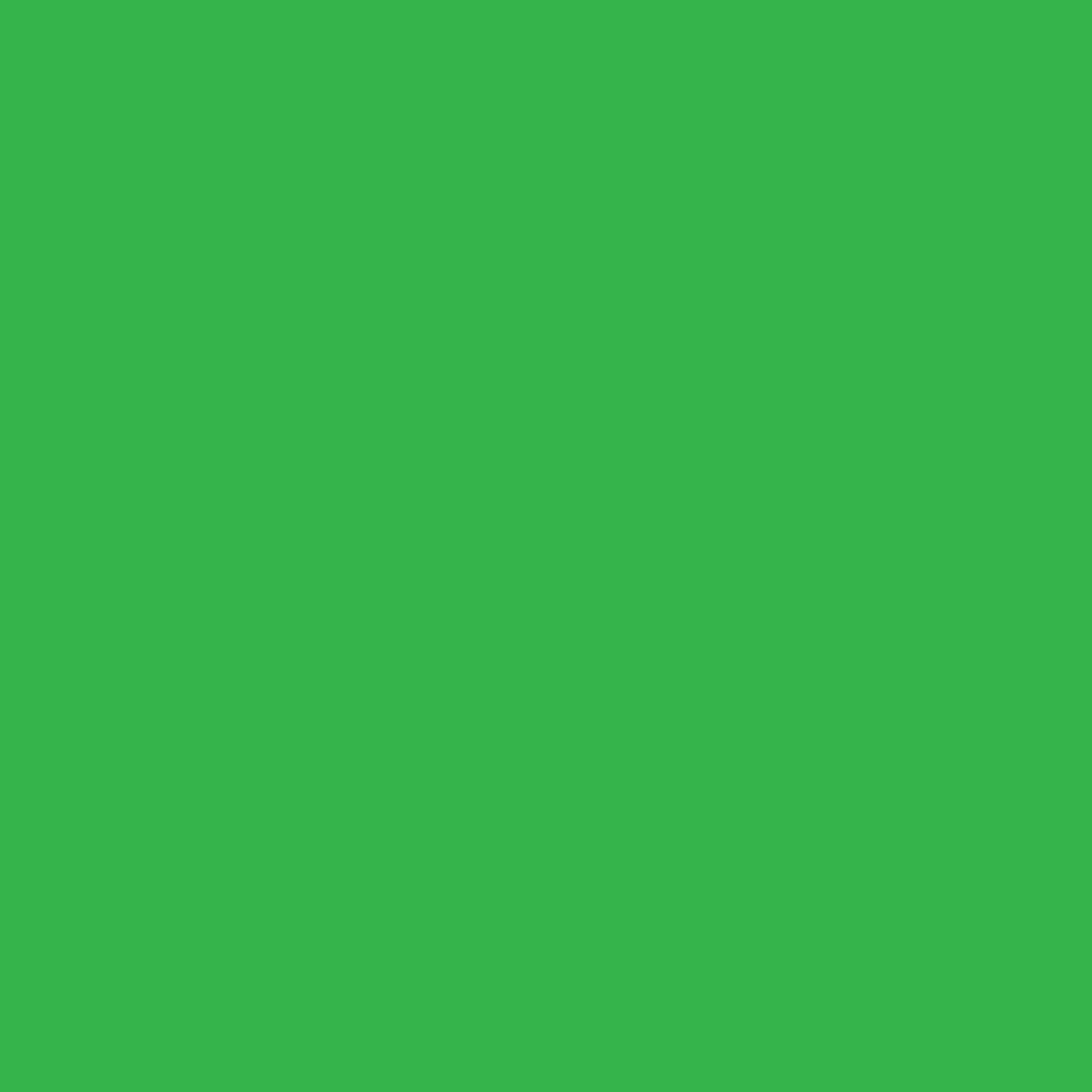 Crafter's Acrylic Paint Wild Green